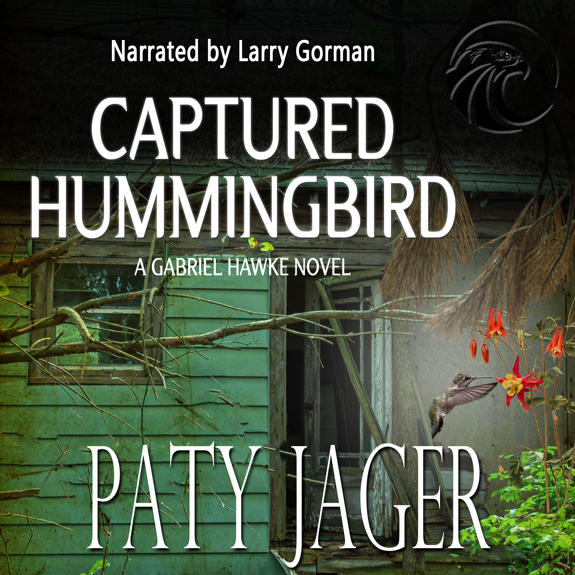 Captured Hummingbird