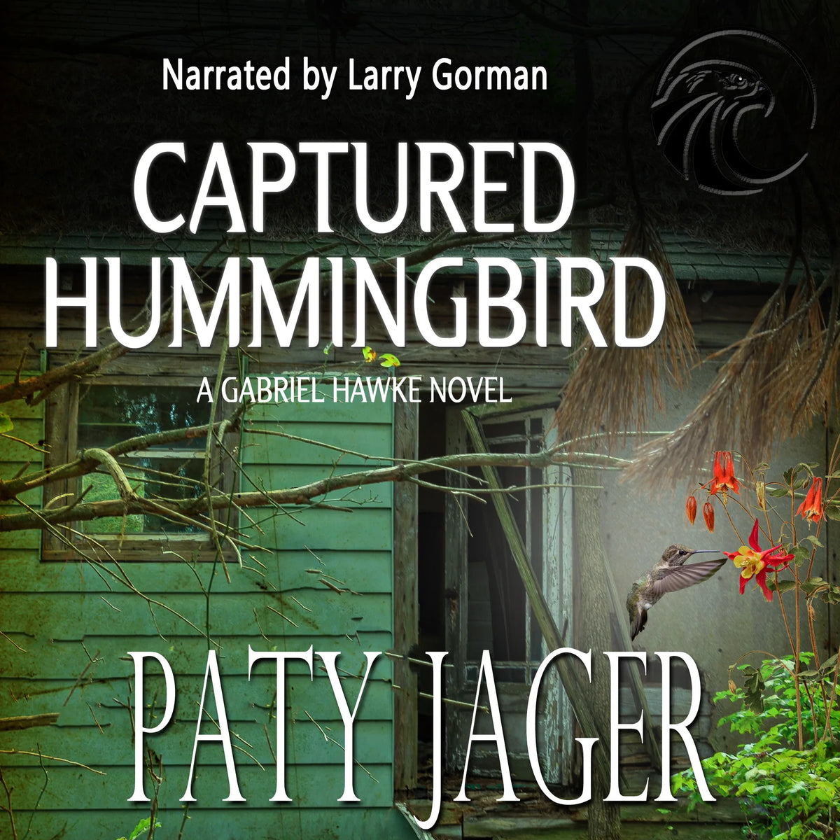 Captured Hummingbird