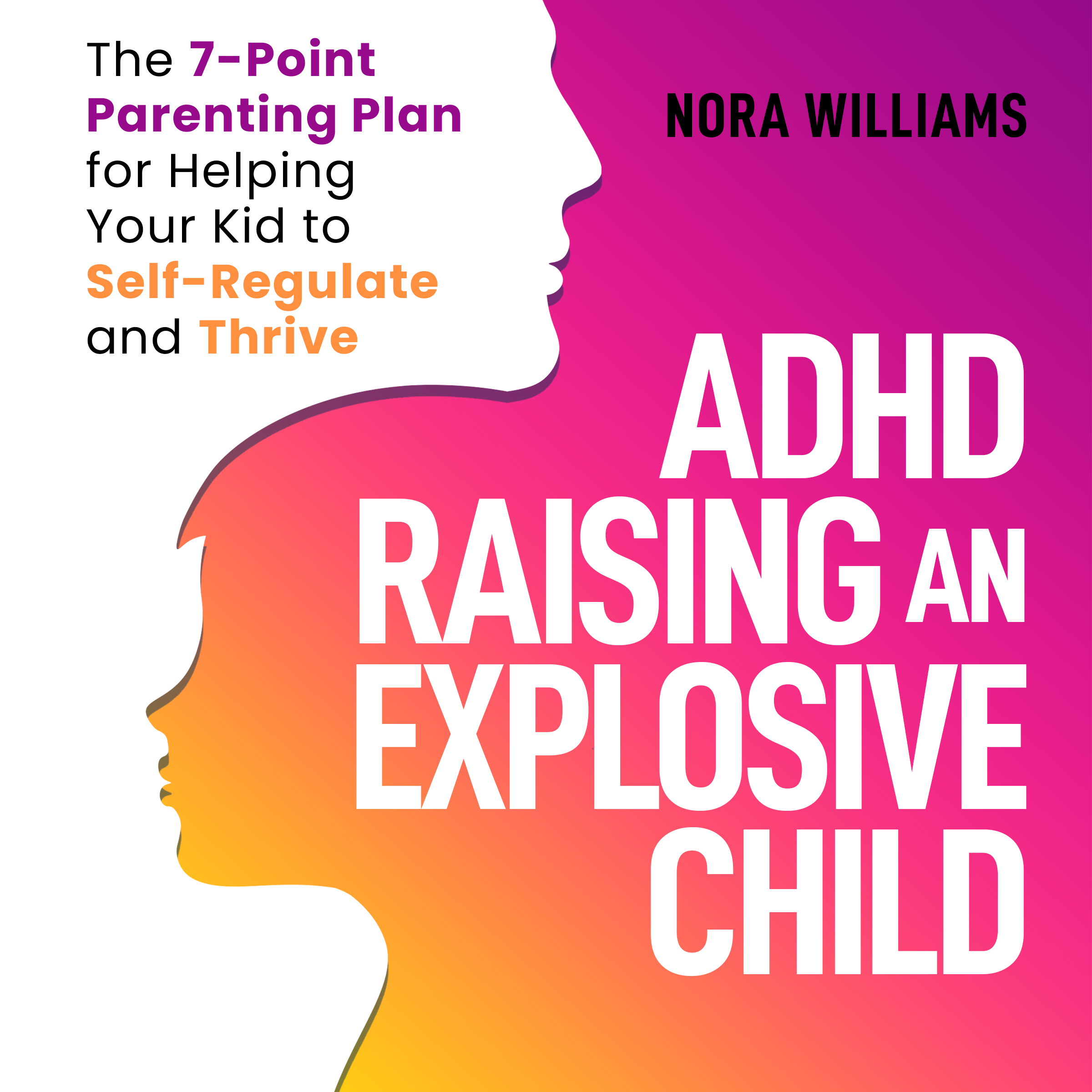 ADHD Raising an Explosive Child