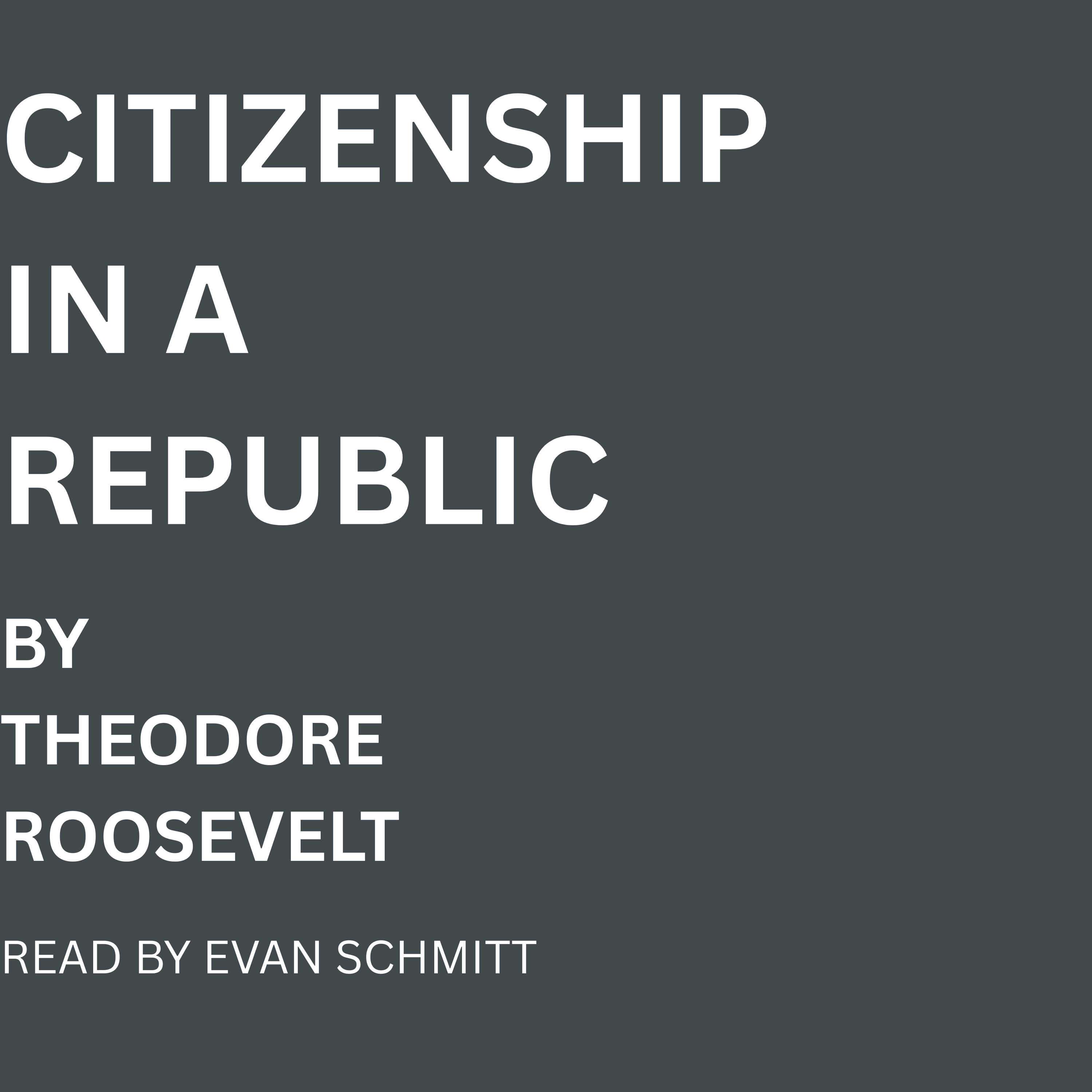 Citizenship in a Republic