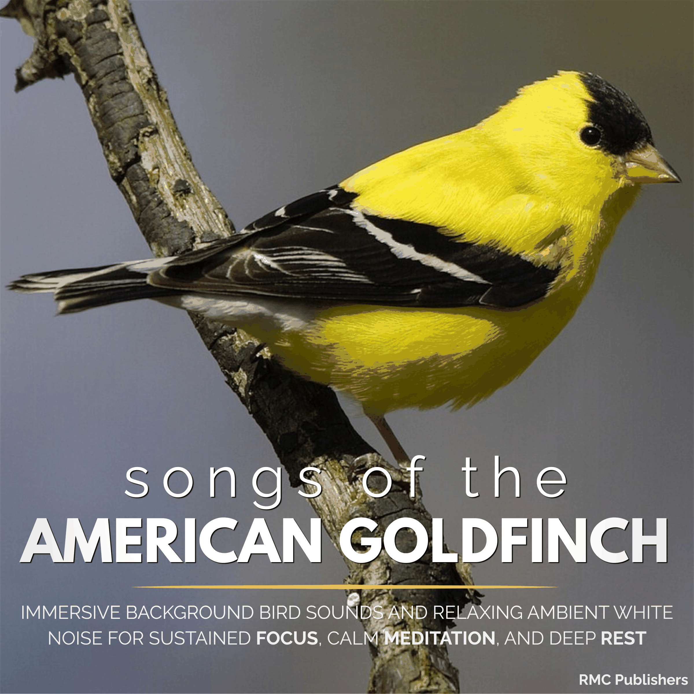 Songs of the American Goldfinch