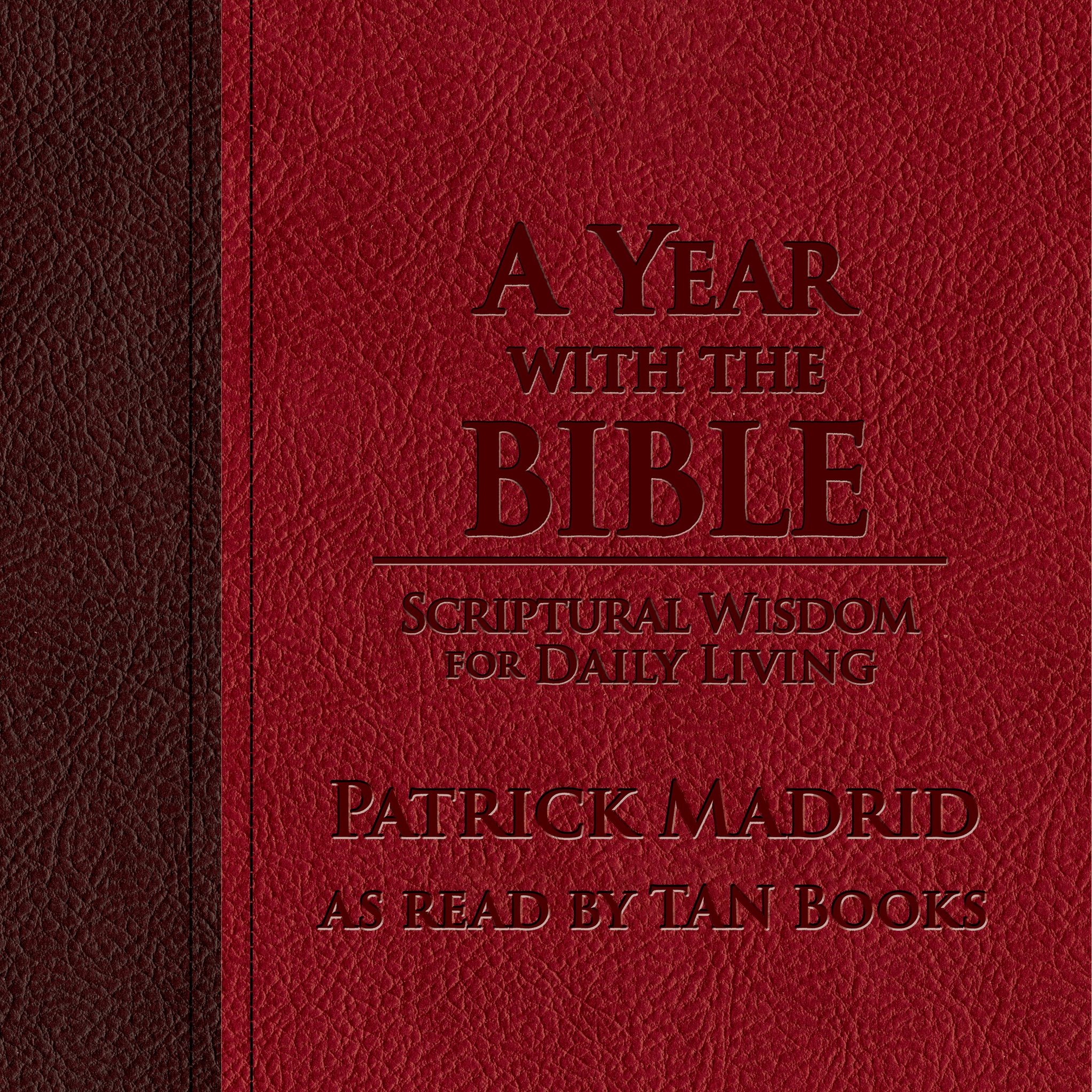 A Year with the Bible