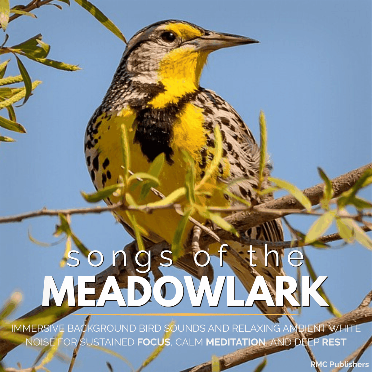 Songs of the Meadowlark