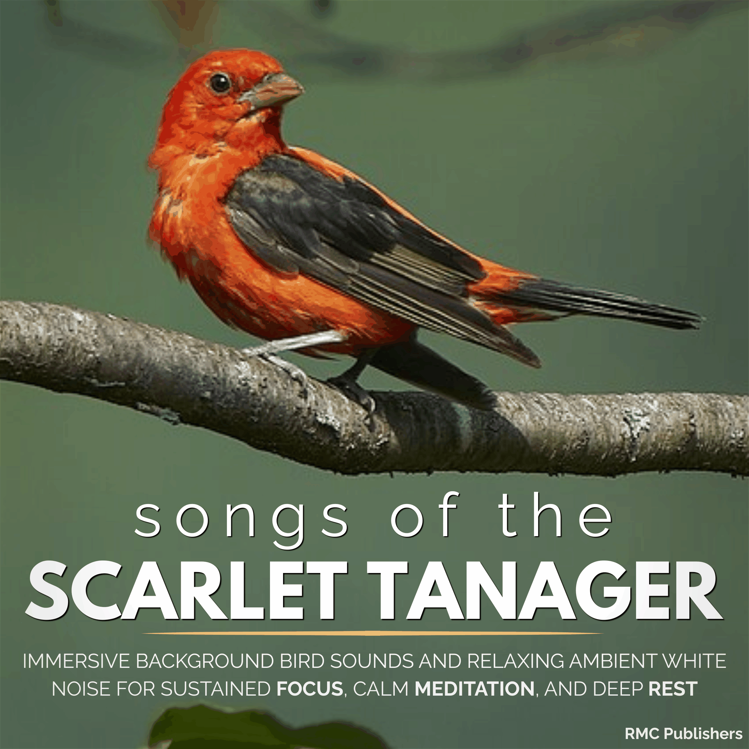 Songs of the Scarlet Tanager