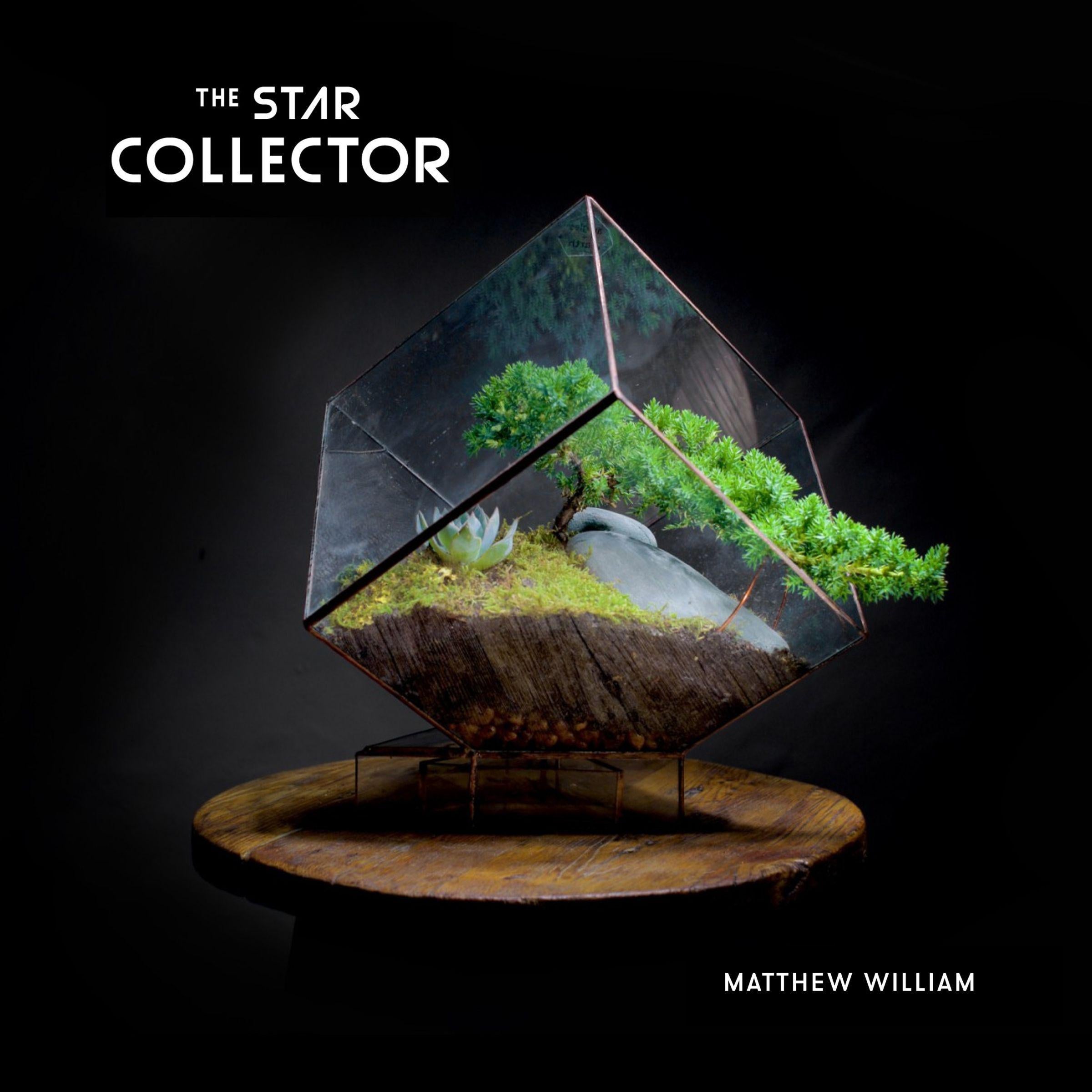 The Star Collector