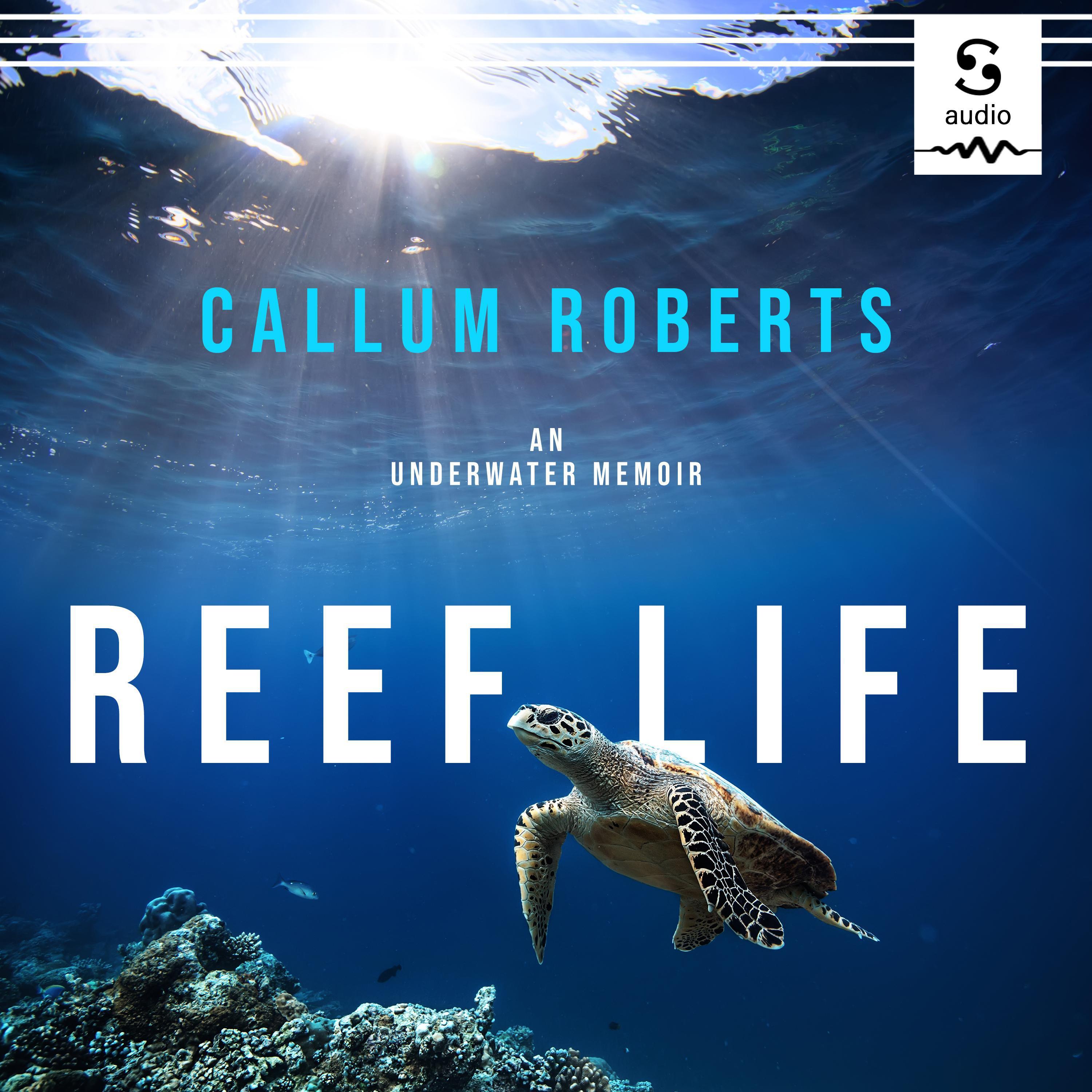 Reef Life