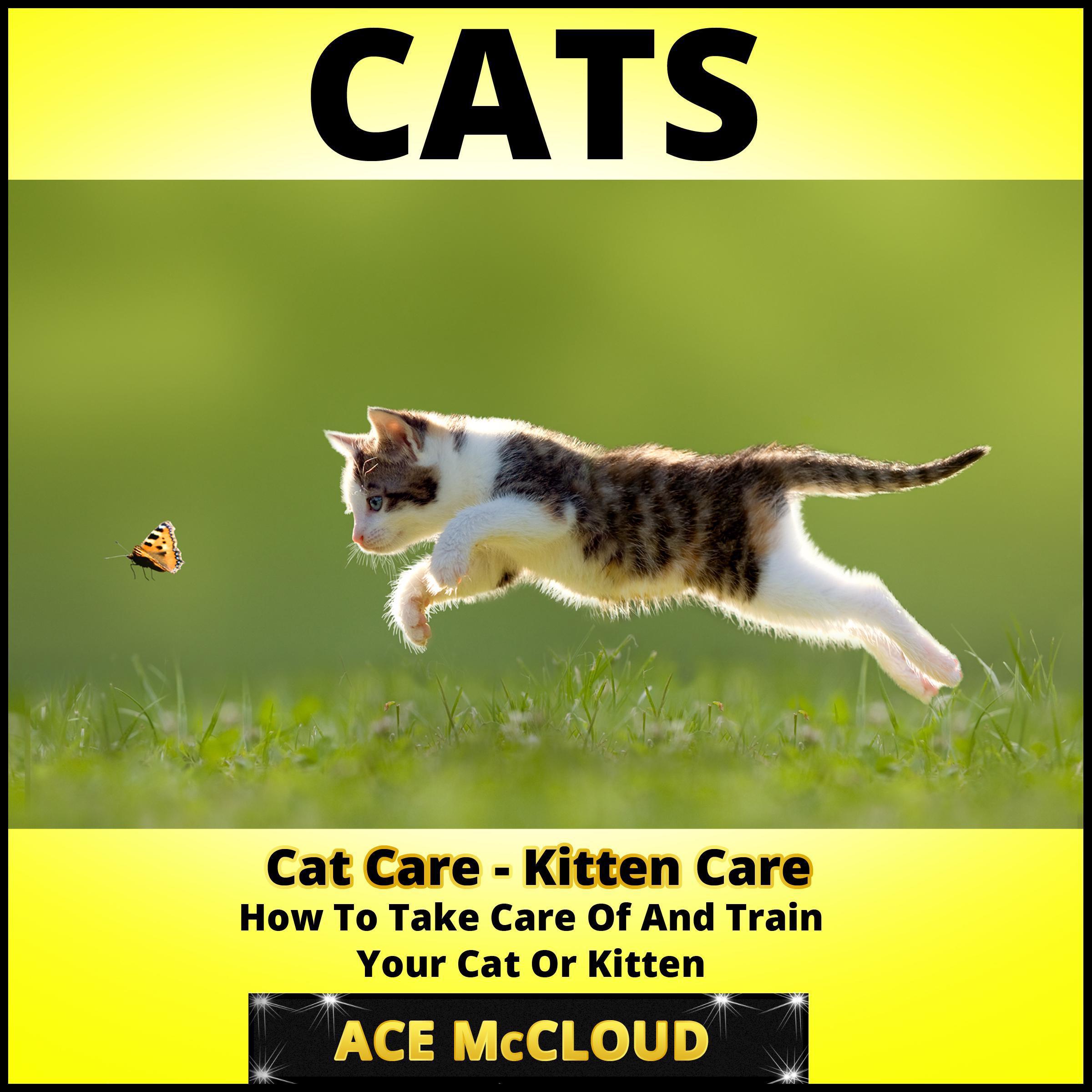 Cats: