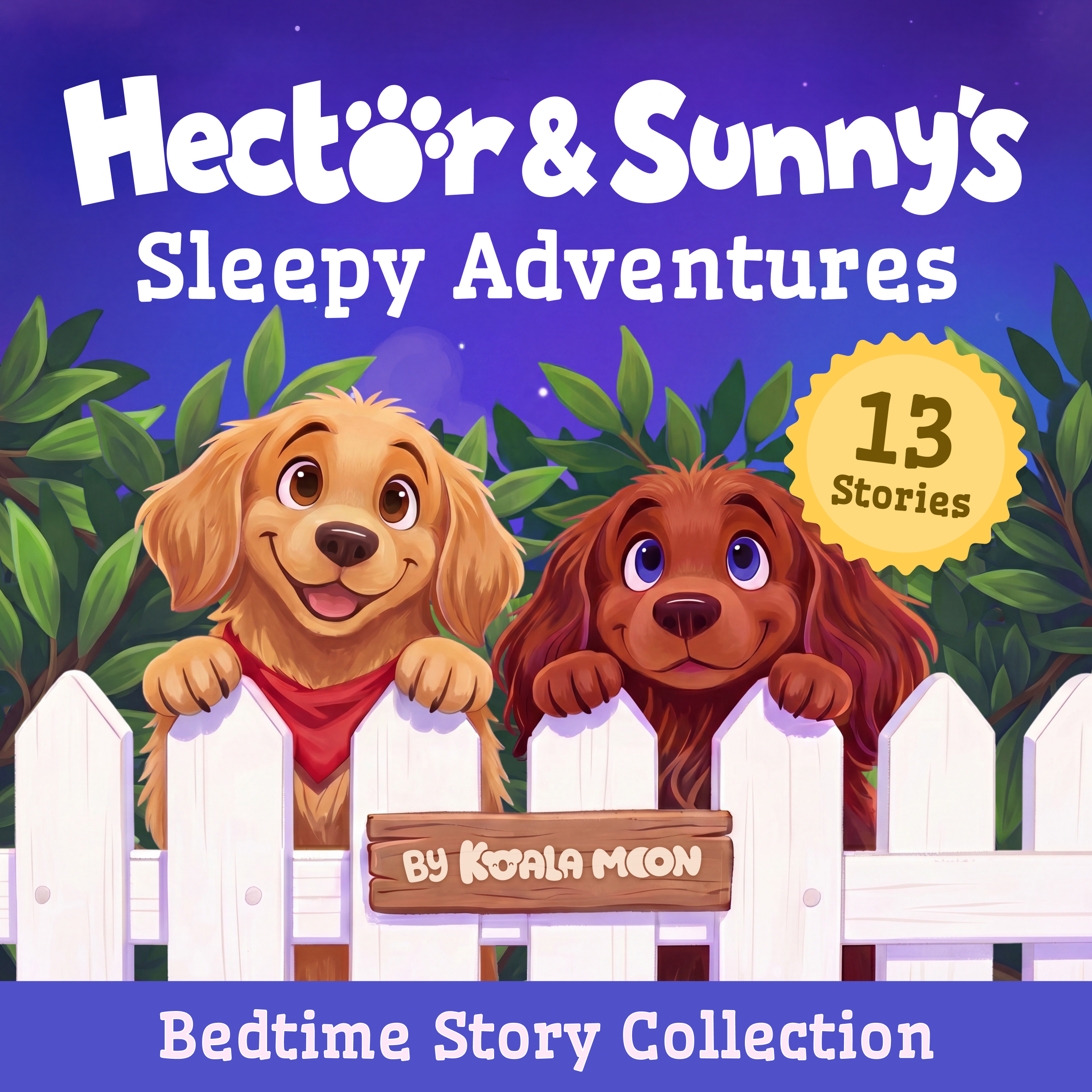 Hector & Sunny's Sleepy Adventures: Bedtime Stories For Kids