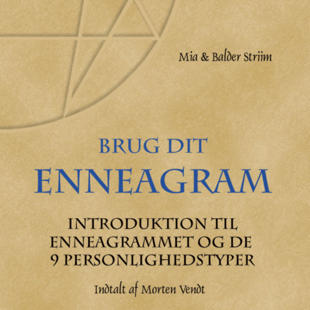 Brug dit Enneagram