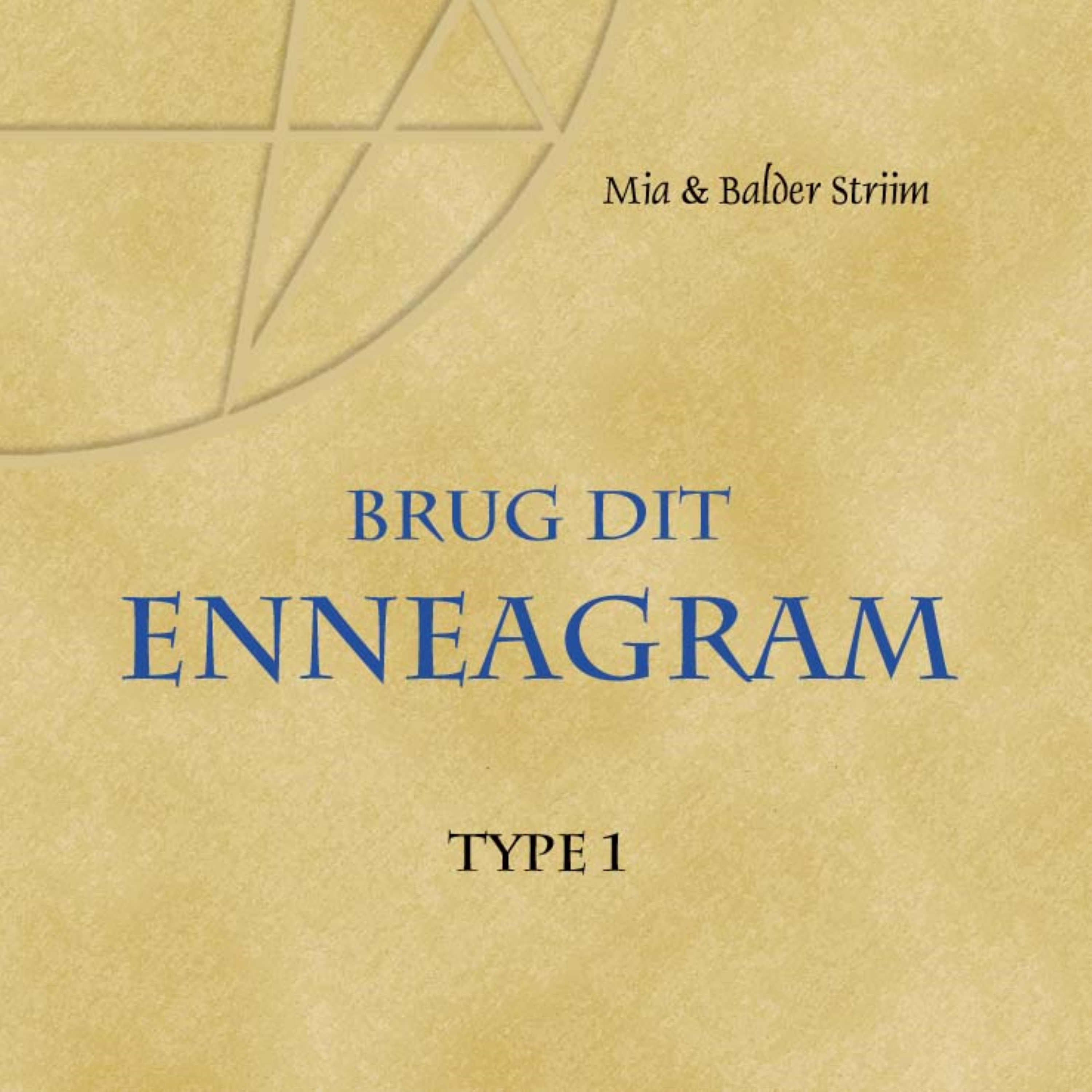 Brug dit Enneagram - Type 1