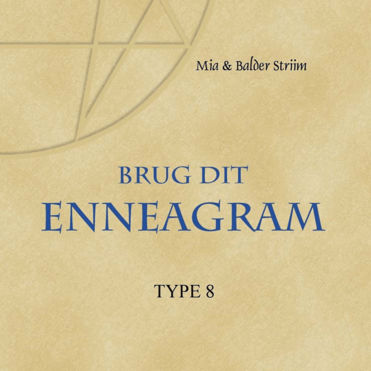 Brug dit Enneagram - Type 8