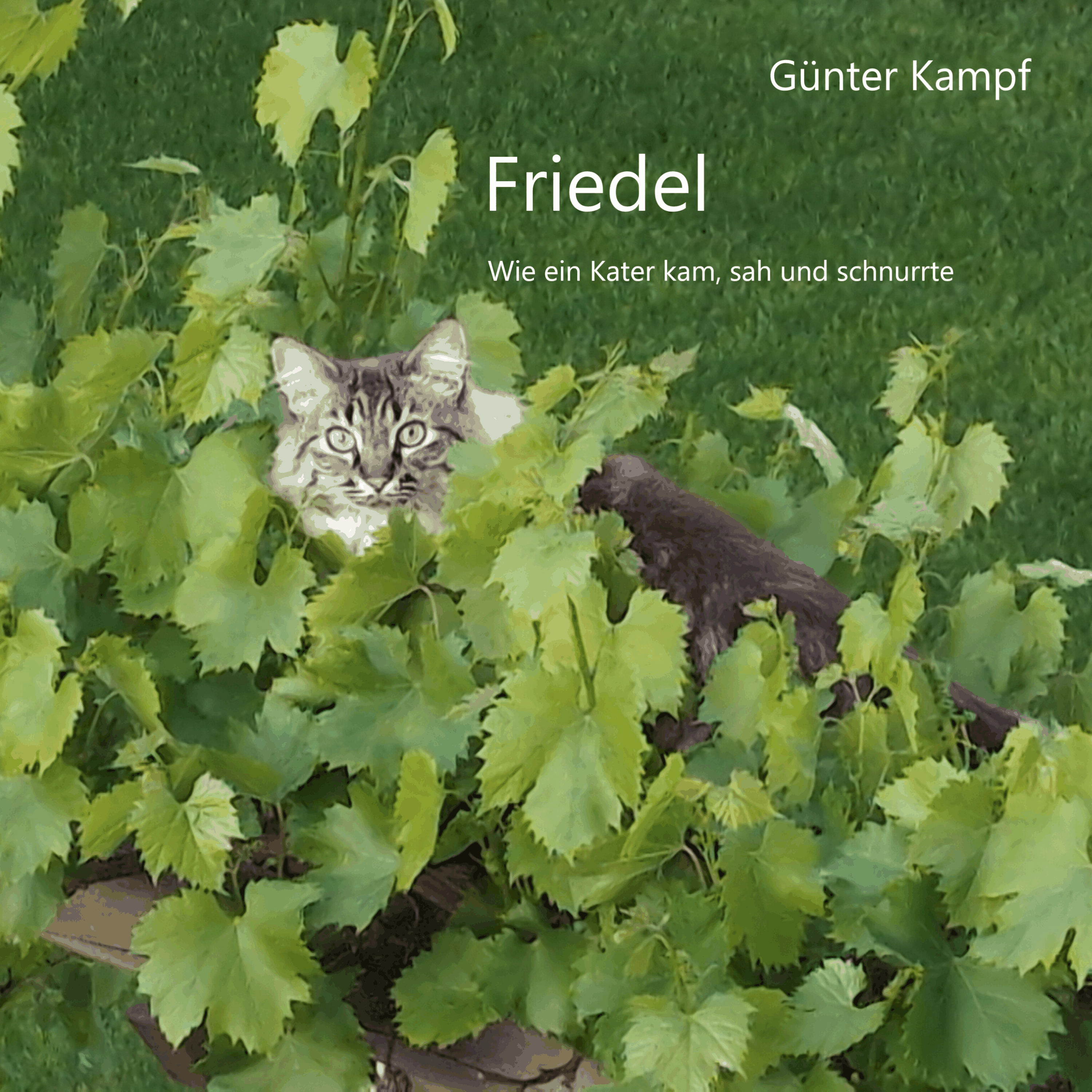 Friedel