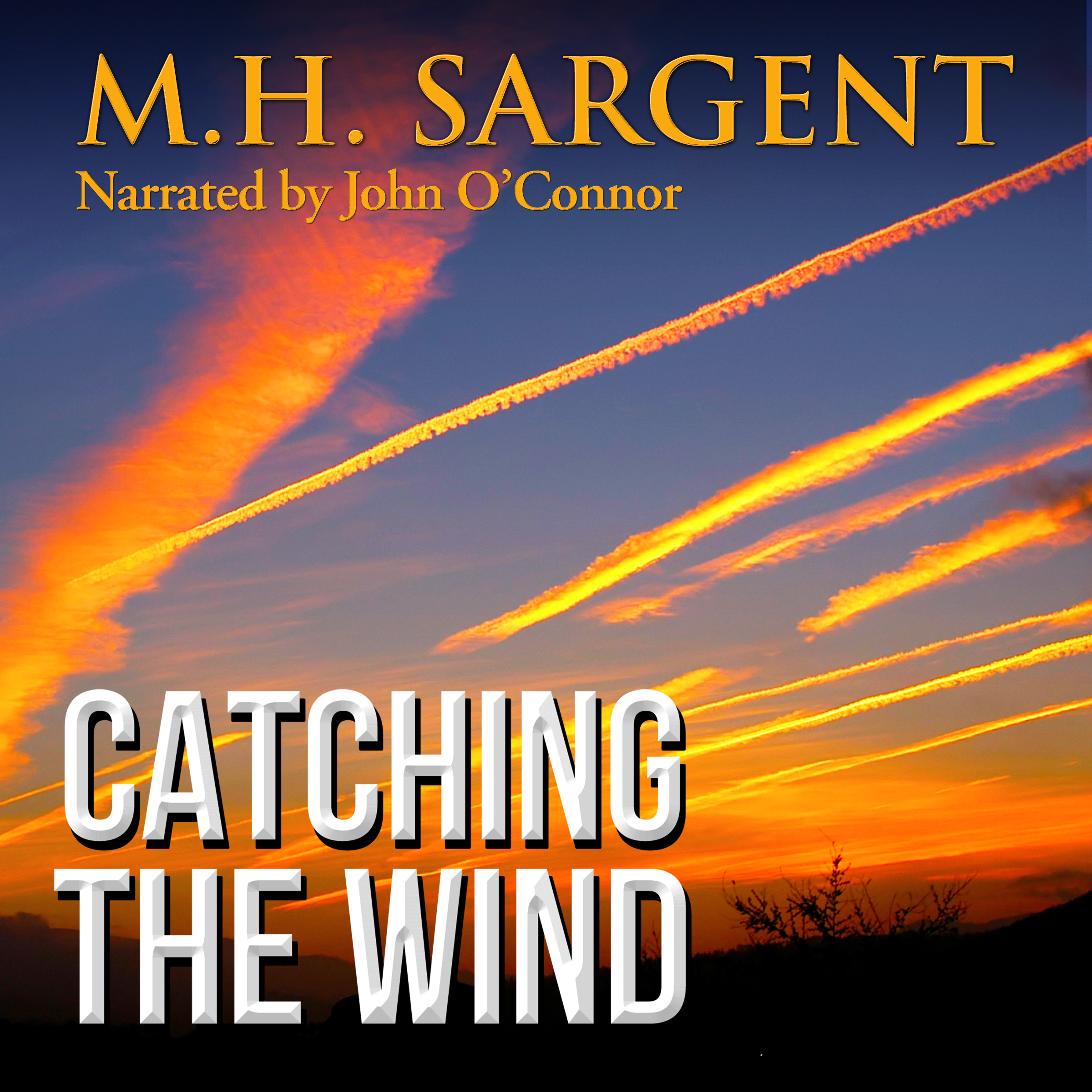 Catching The Wind