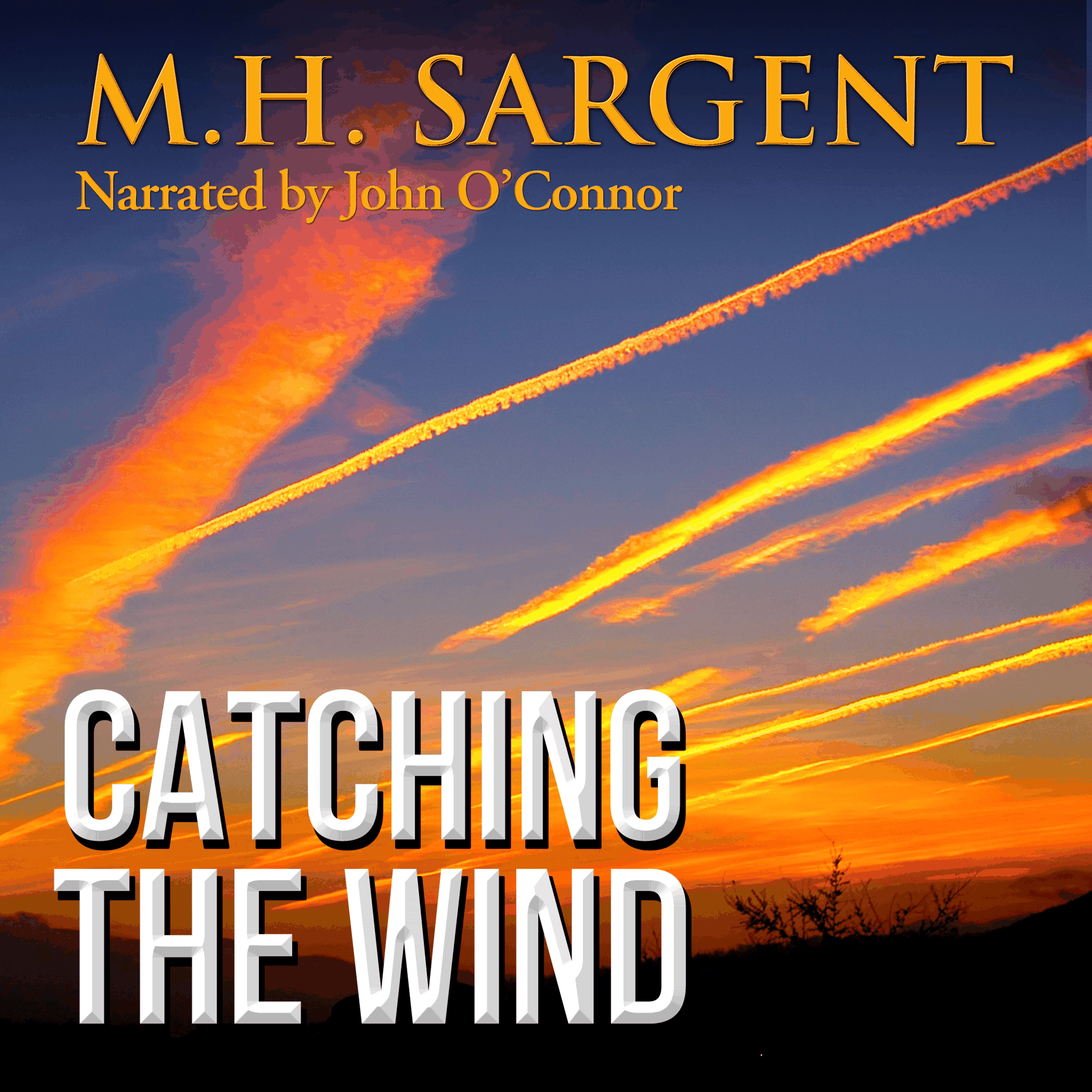 Catching The Wind