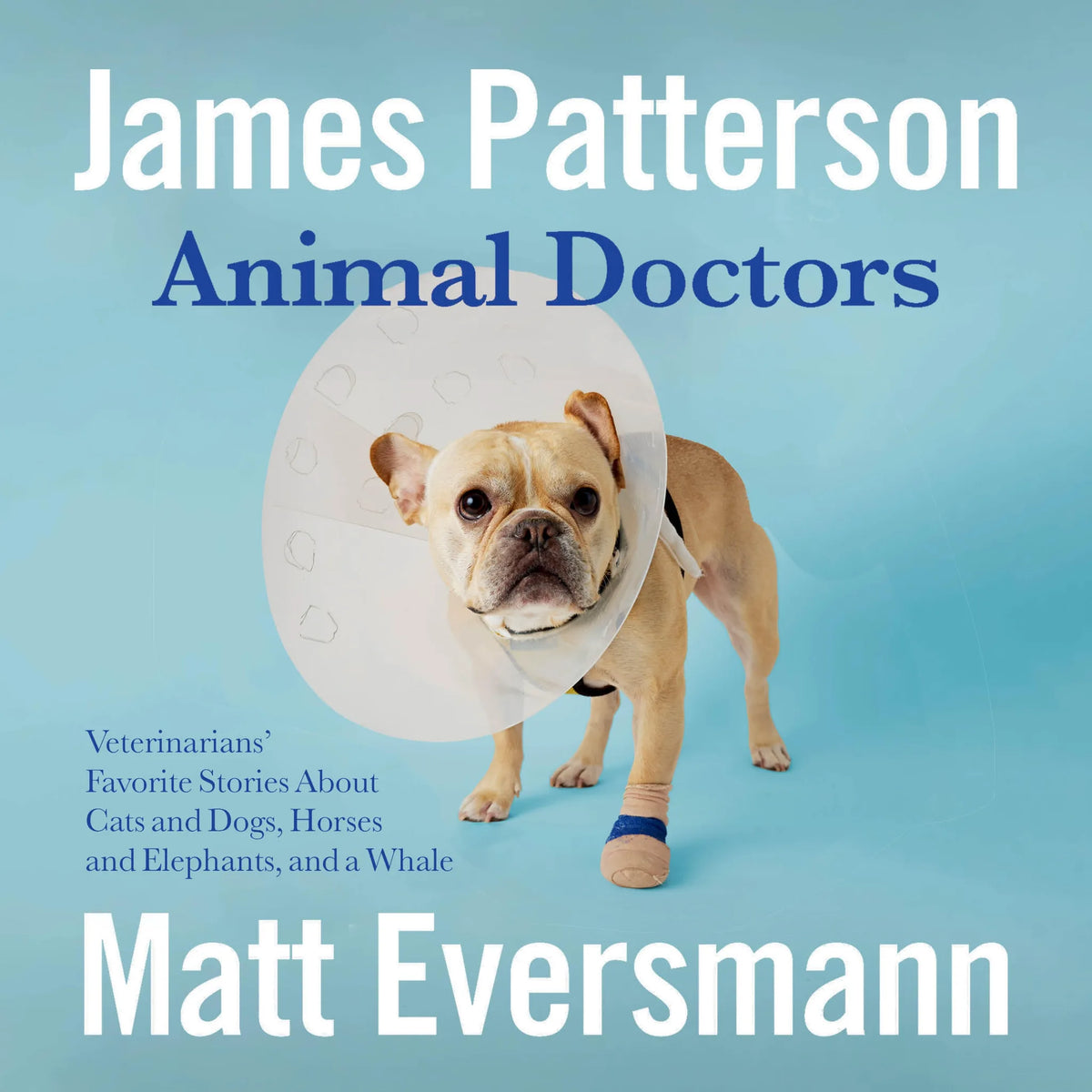 Animal Doctors
