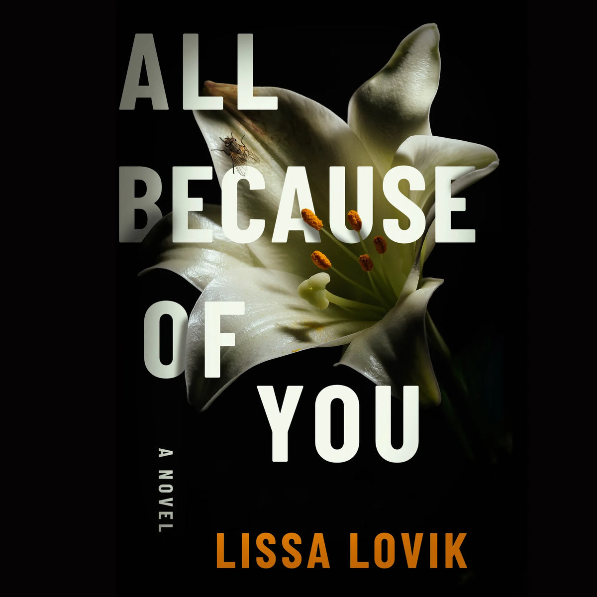 All Because of You