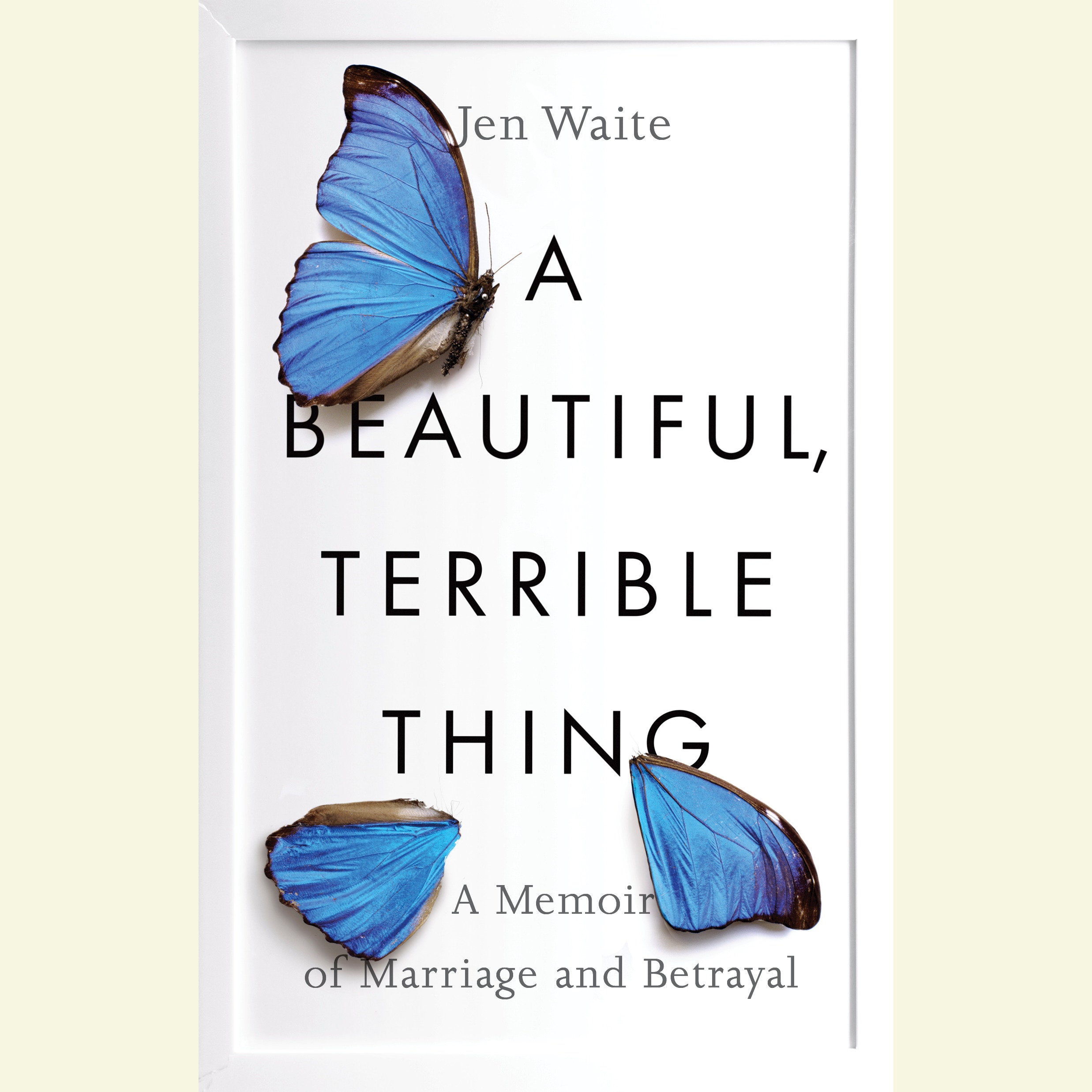 A Beautiful, Terrible Thing