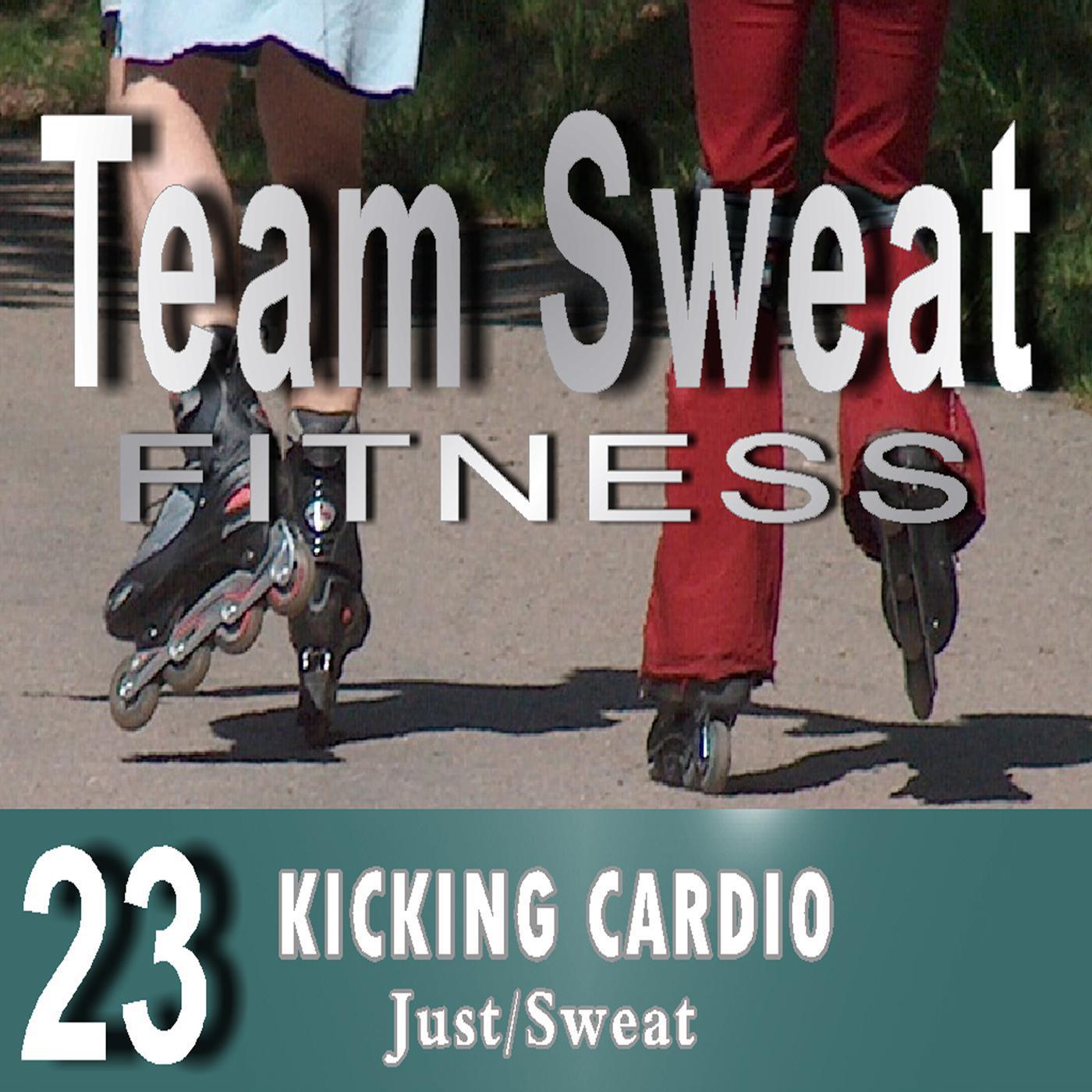 Kicking Cardio