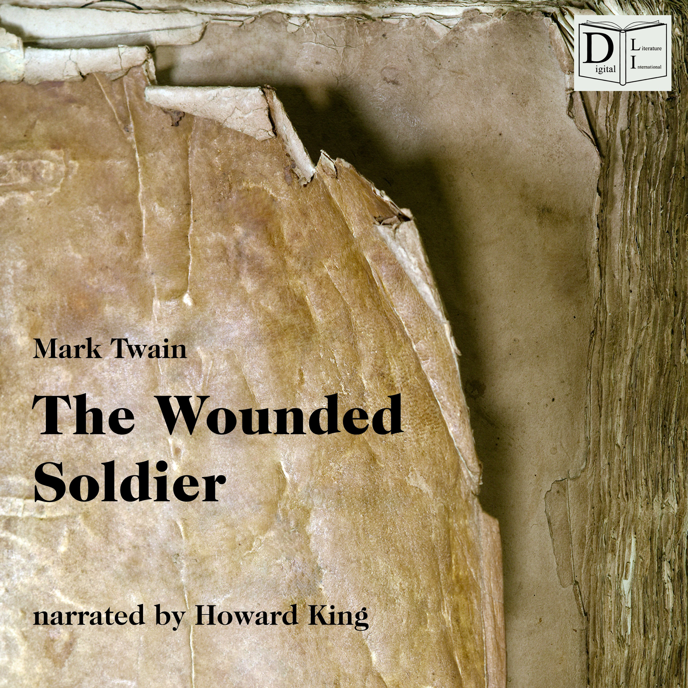 The Wounded Soldier