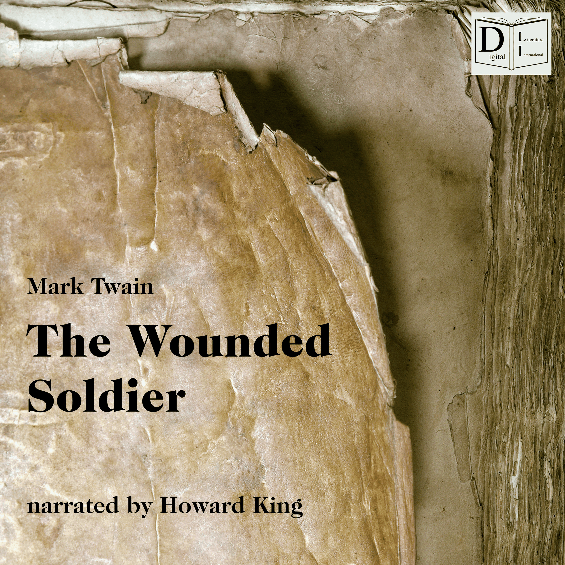 The Wounded Soldier