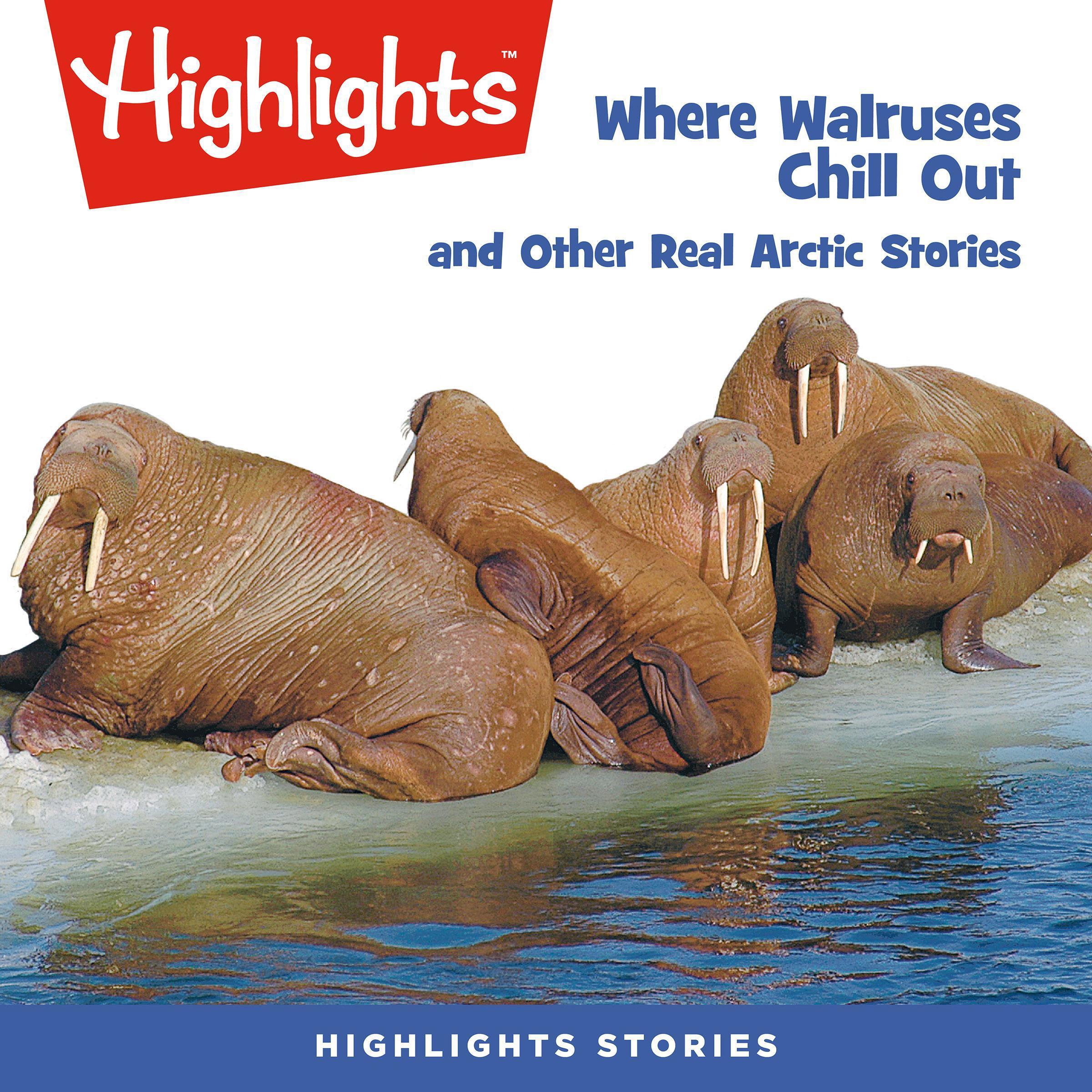 Where Walruses Chill Out