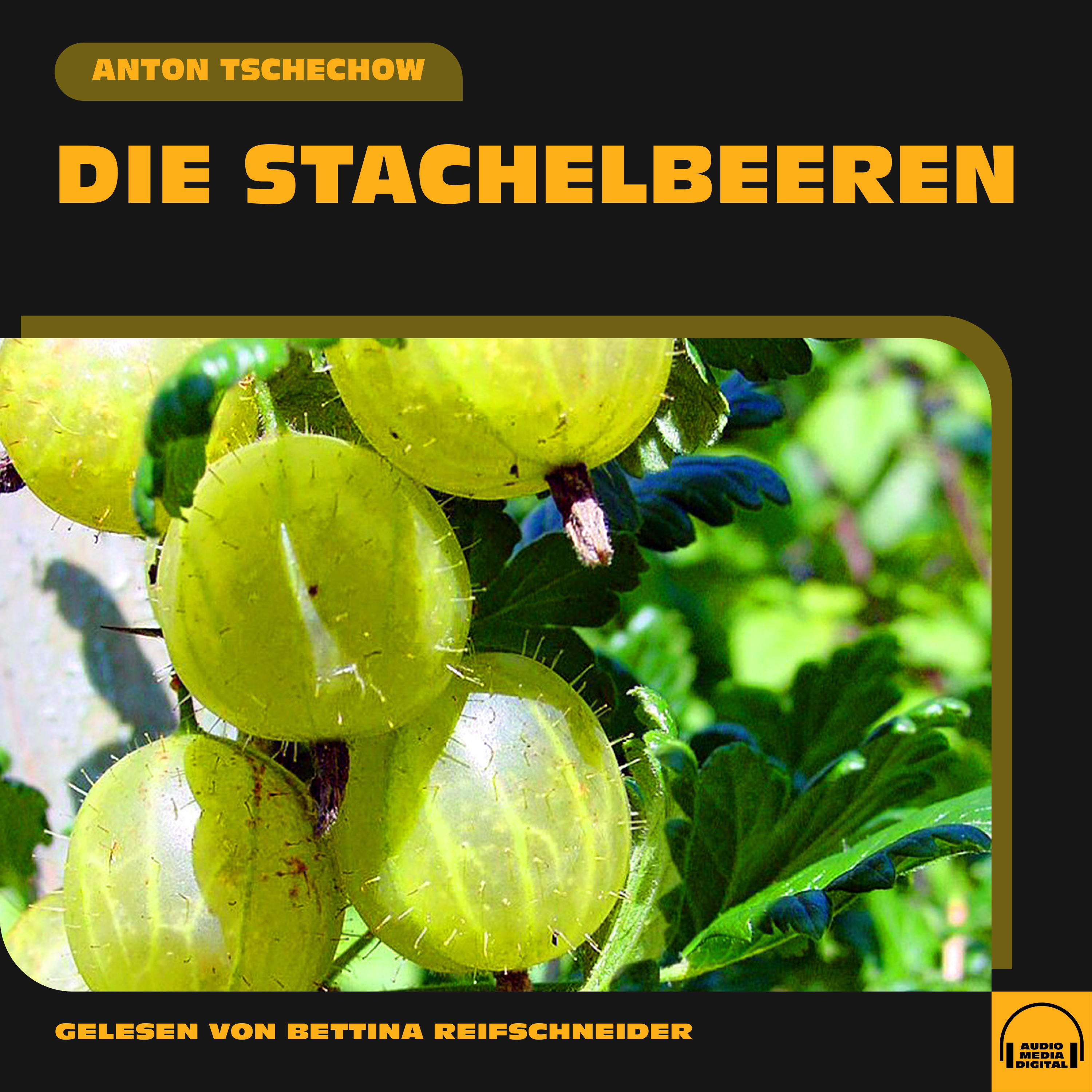 Die Stachelbeeren