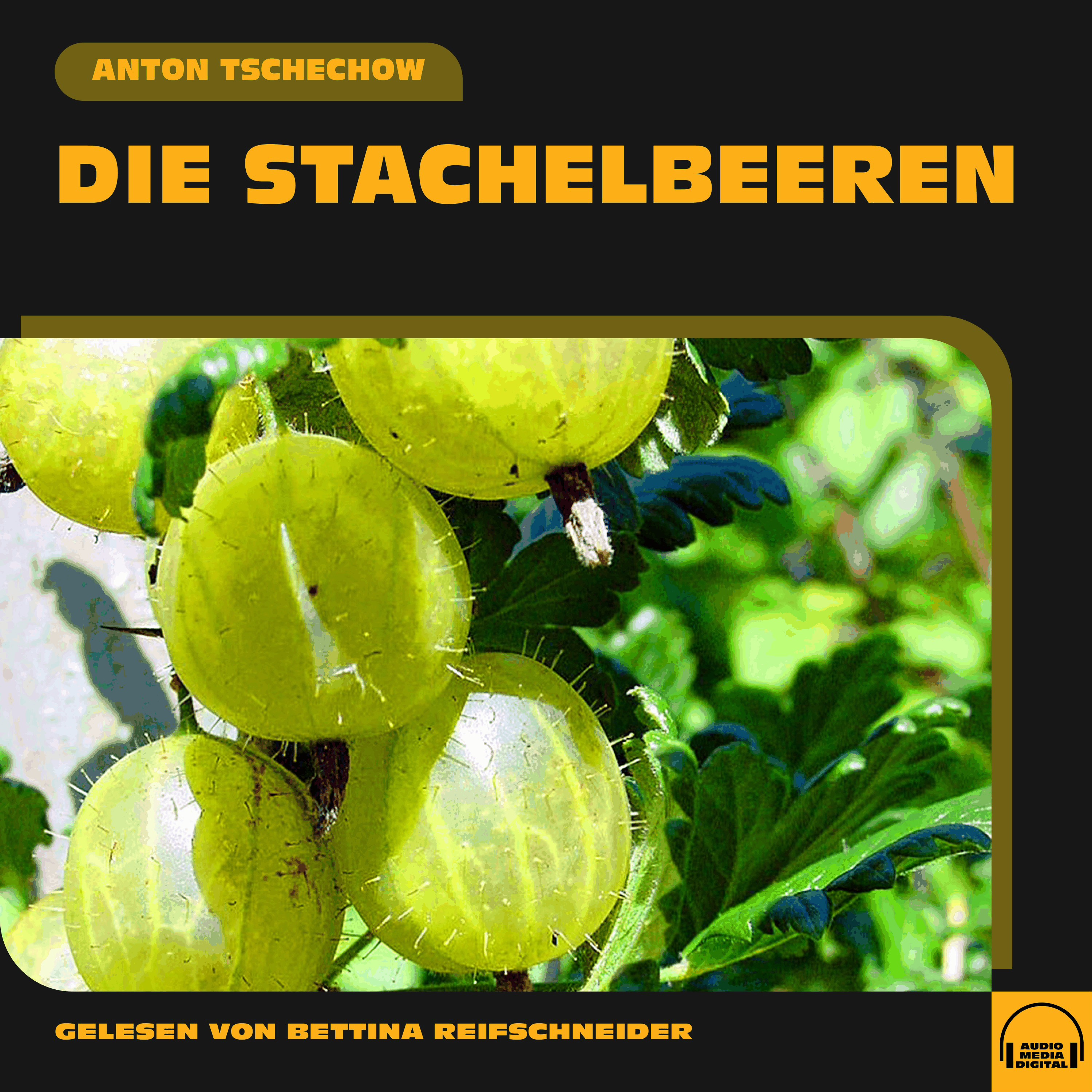Die Stachelbeeren