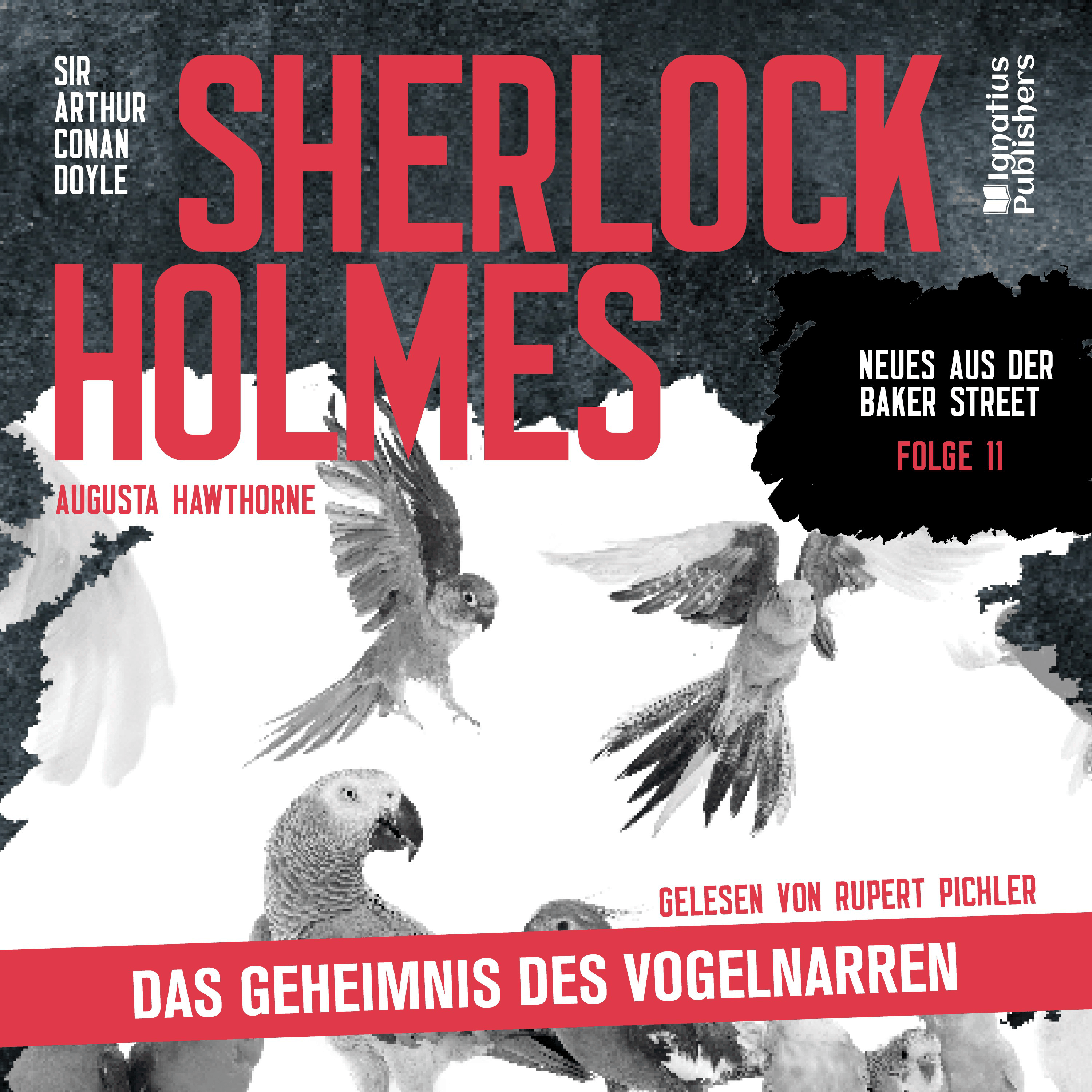 Sherlock Holmes: Das Geheimnis des Vogelnarren (Neues aus der Baker Street, Folge 11)