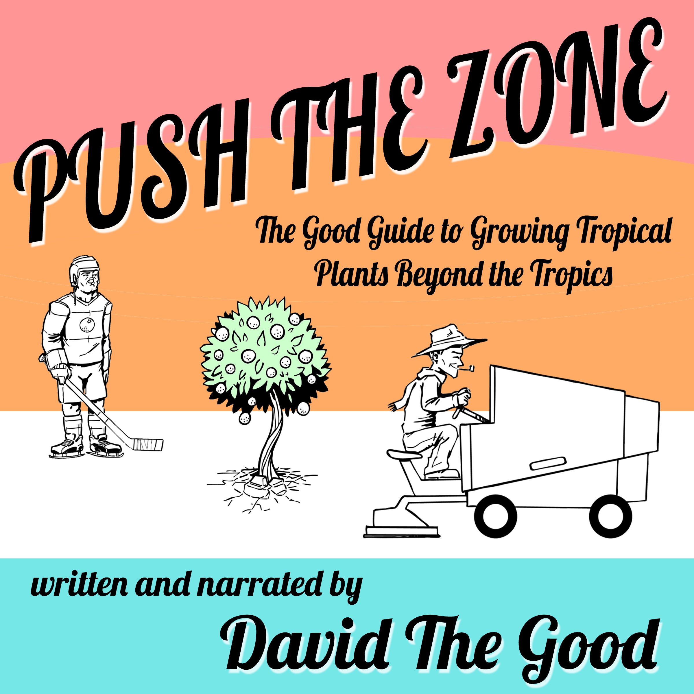 Push the Zone