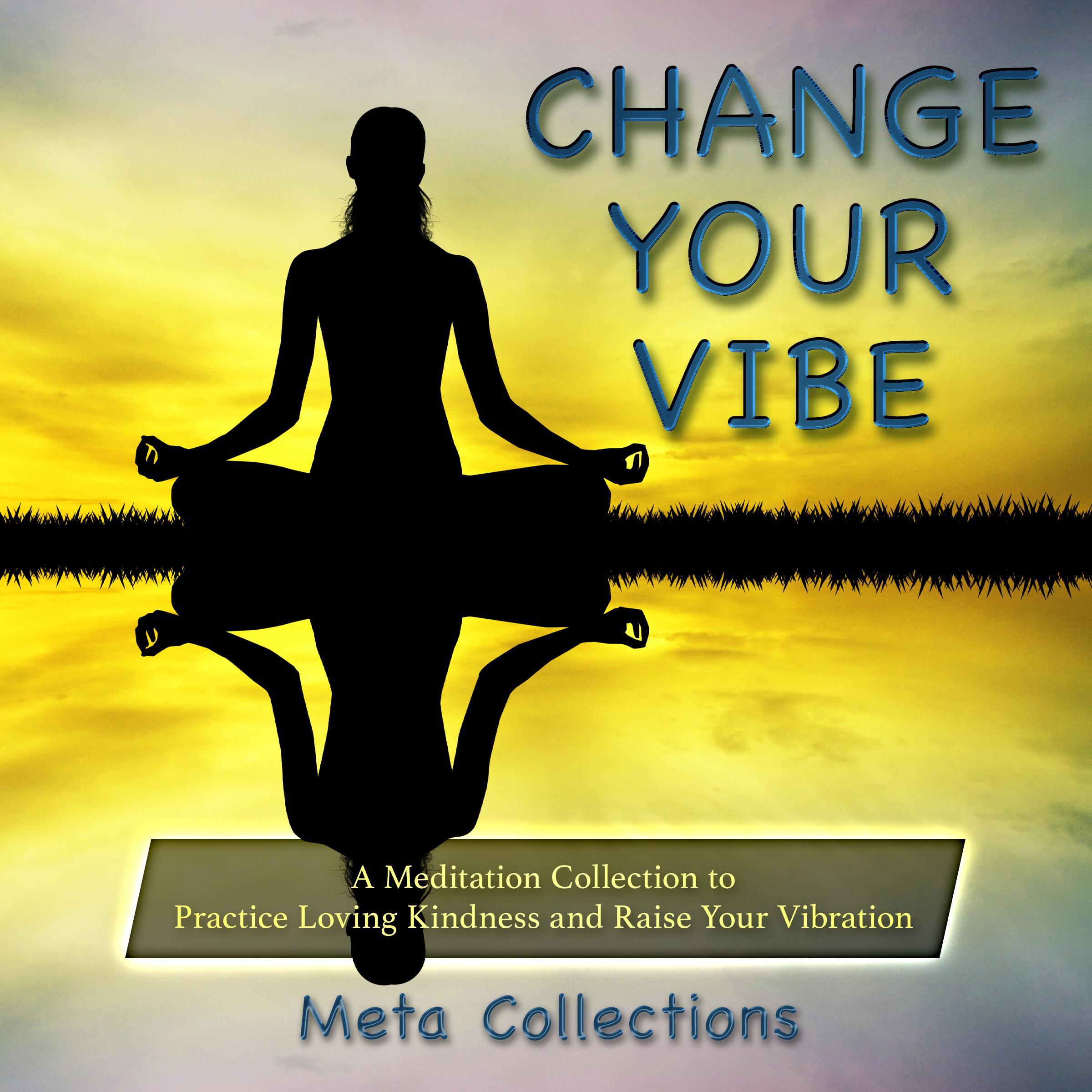 Change Your Vibe