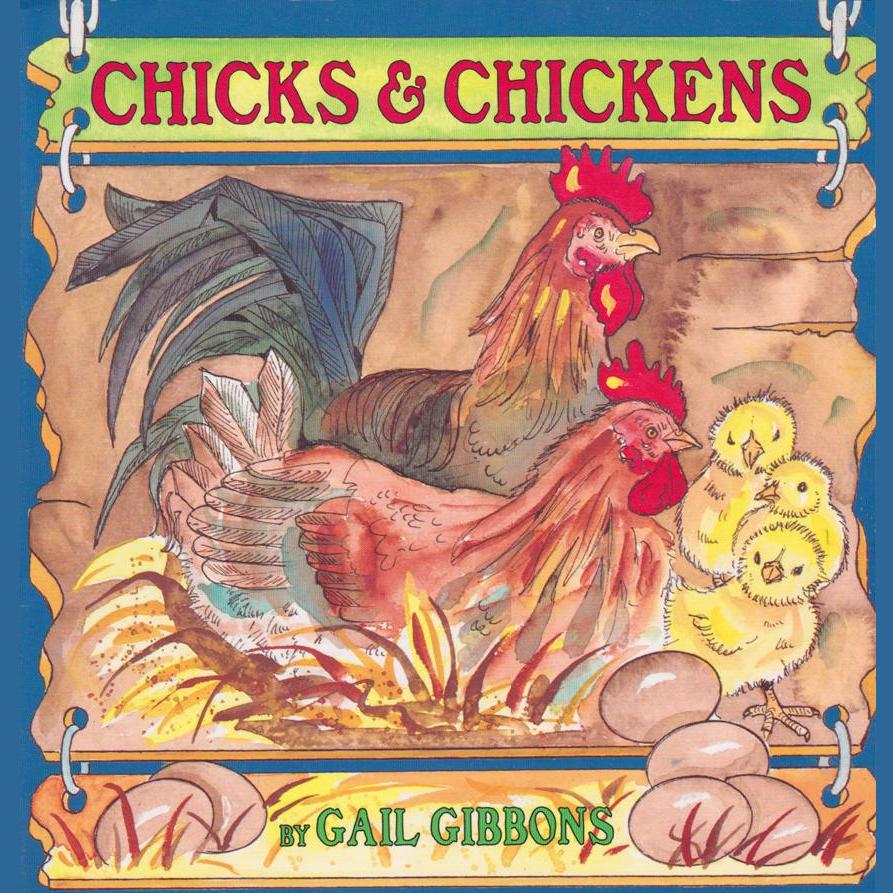 Chicks and Chickens