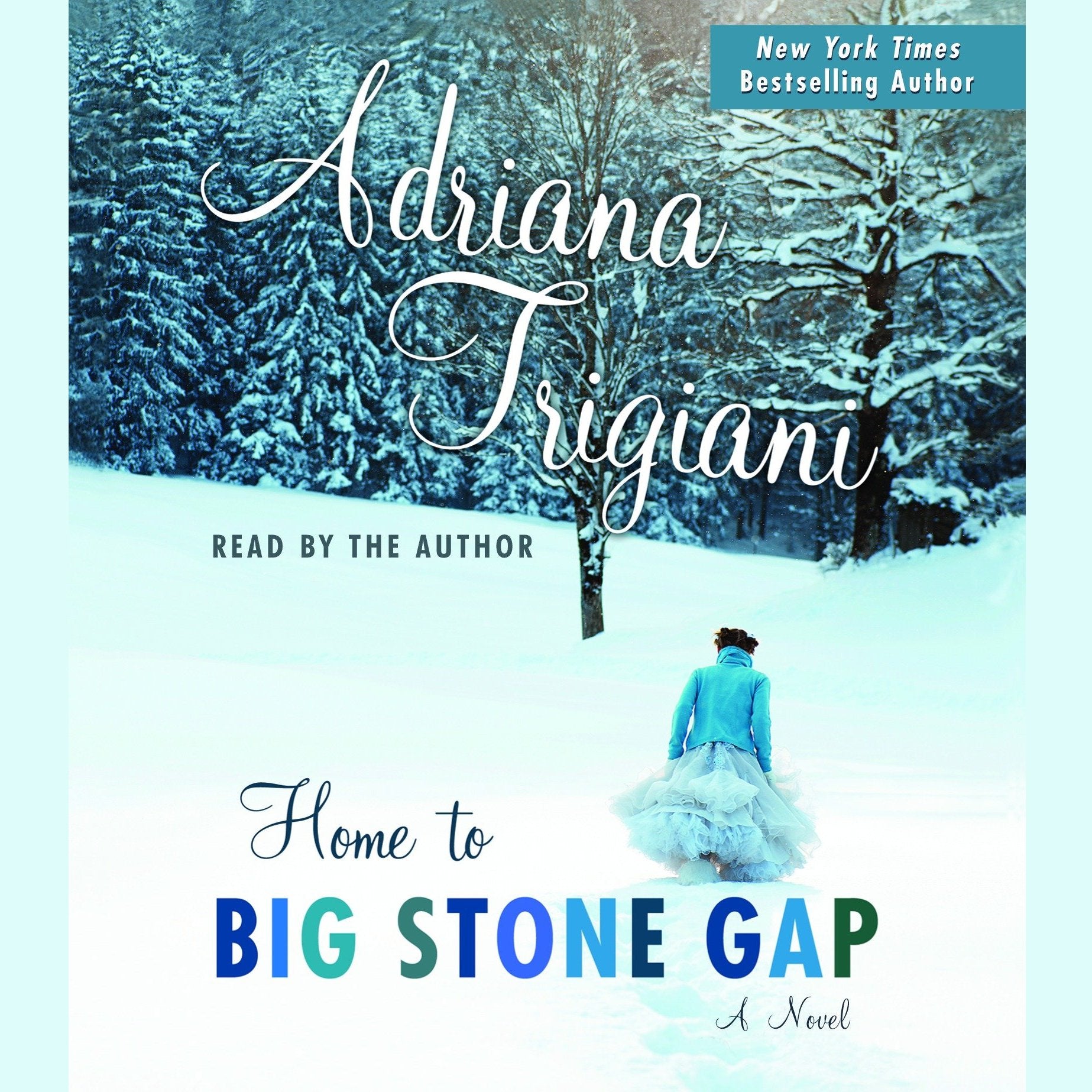 Home to Big Stone Gap