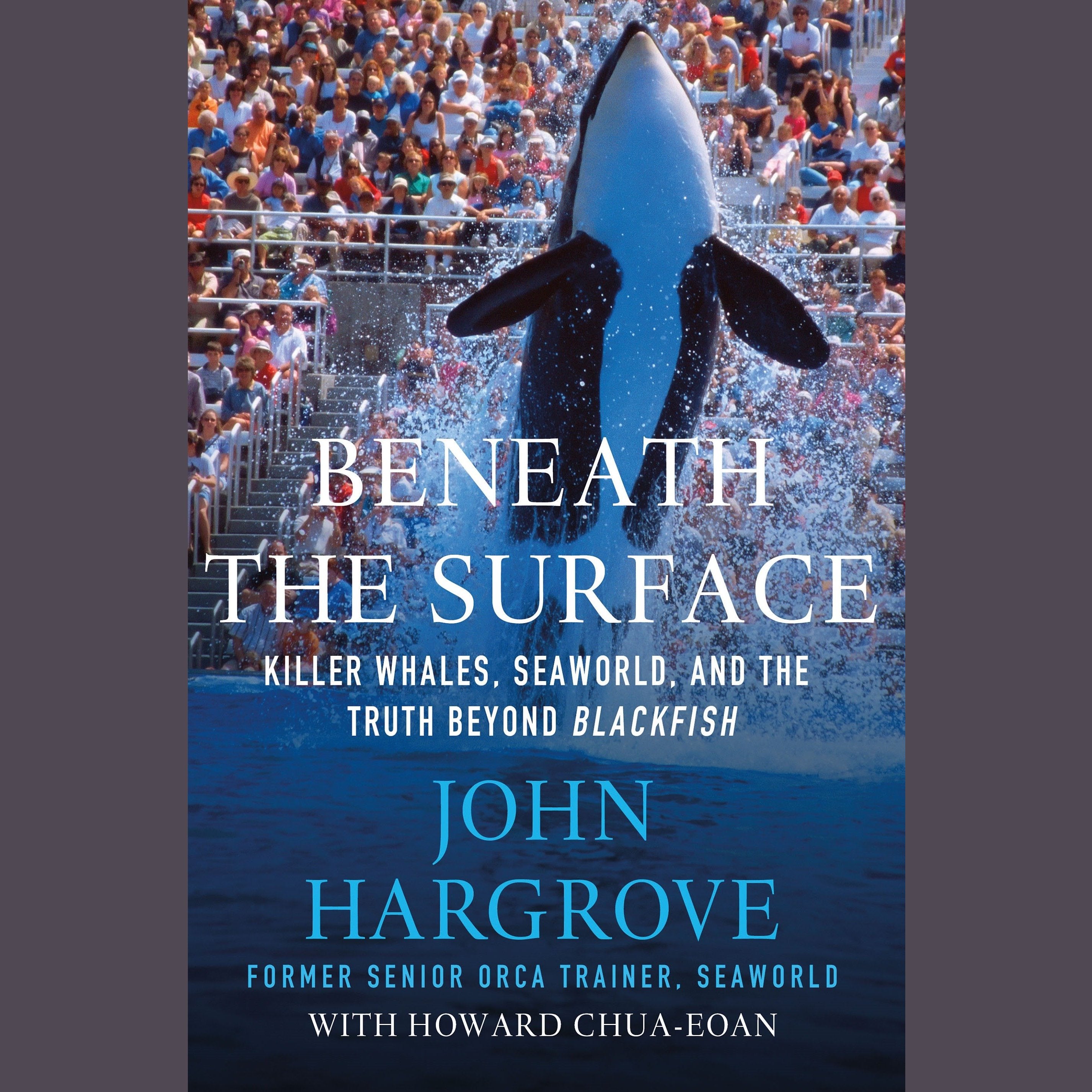 Beneath the Surface