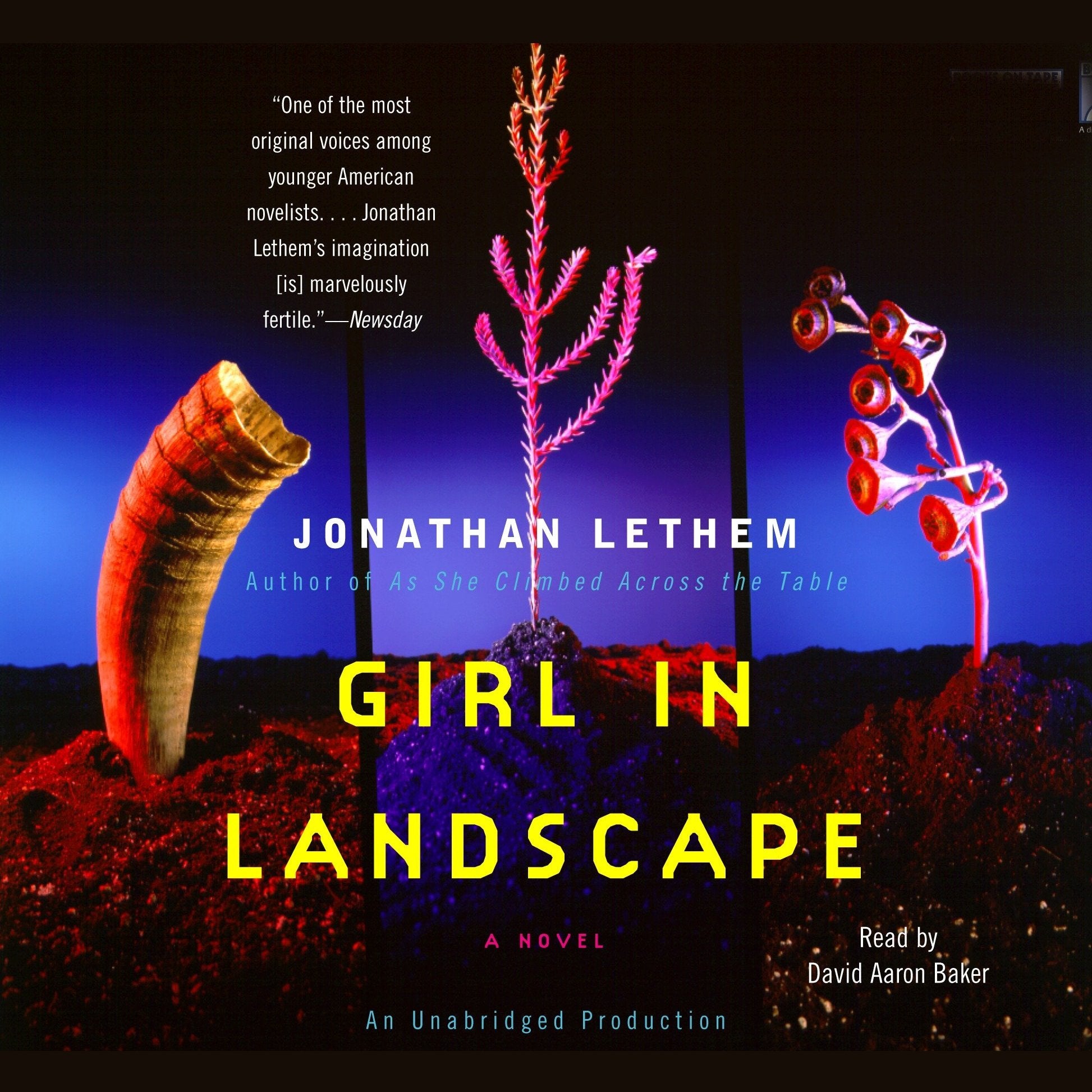 Girl in Landscape