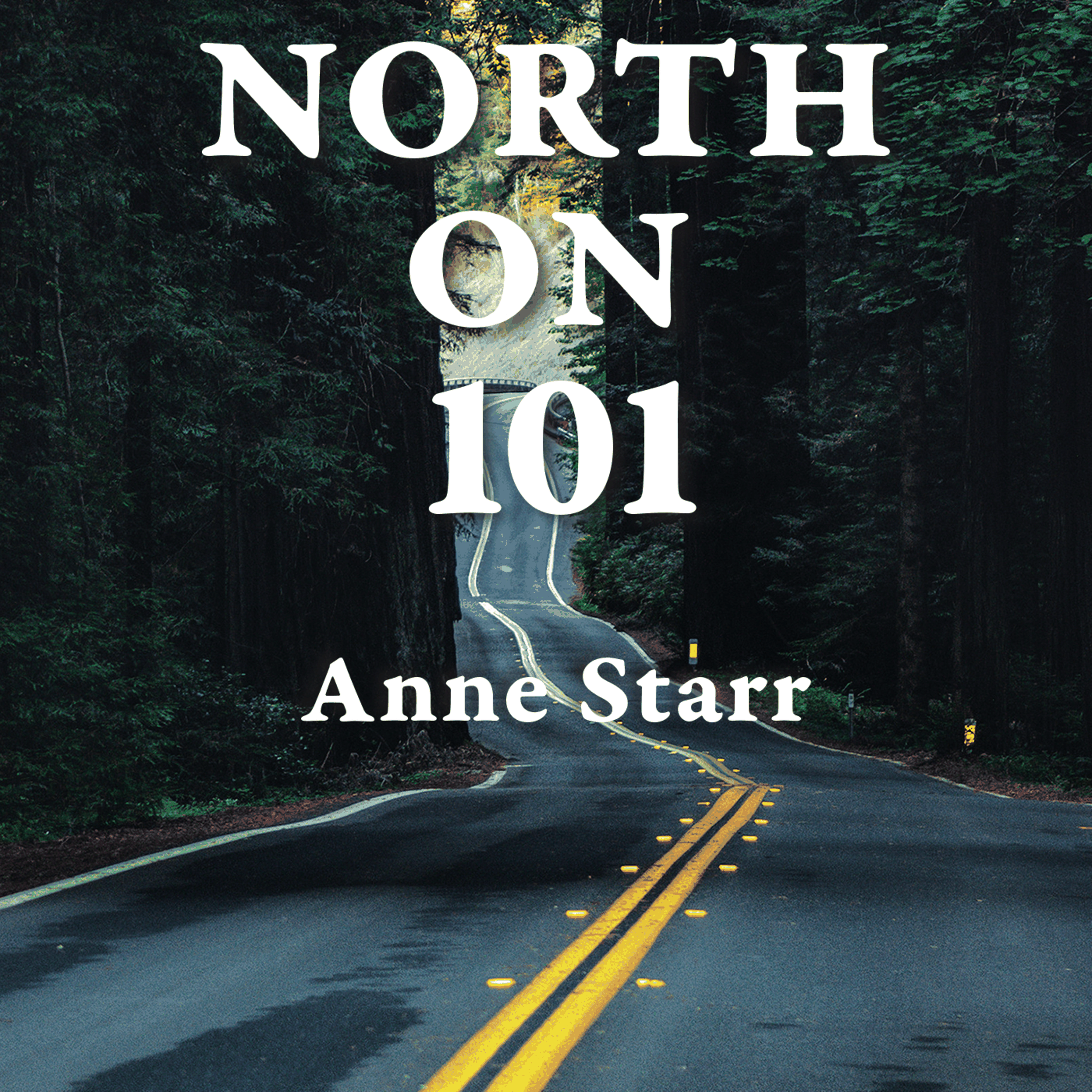 North on 101