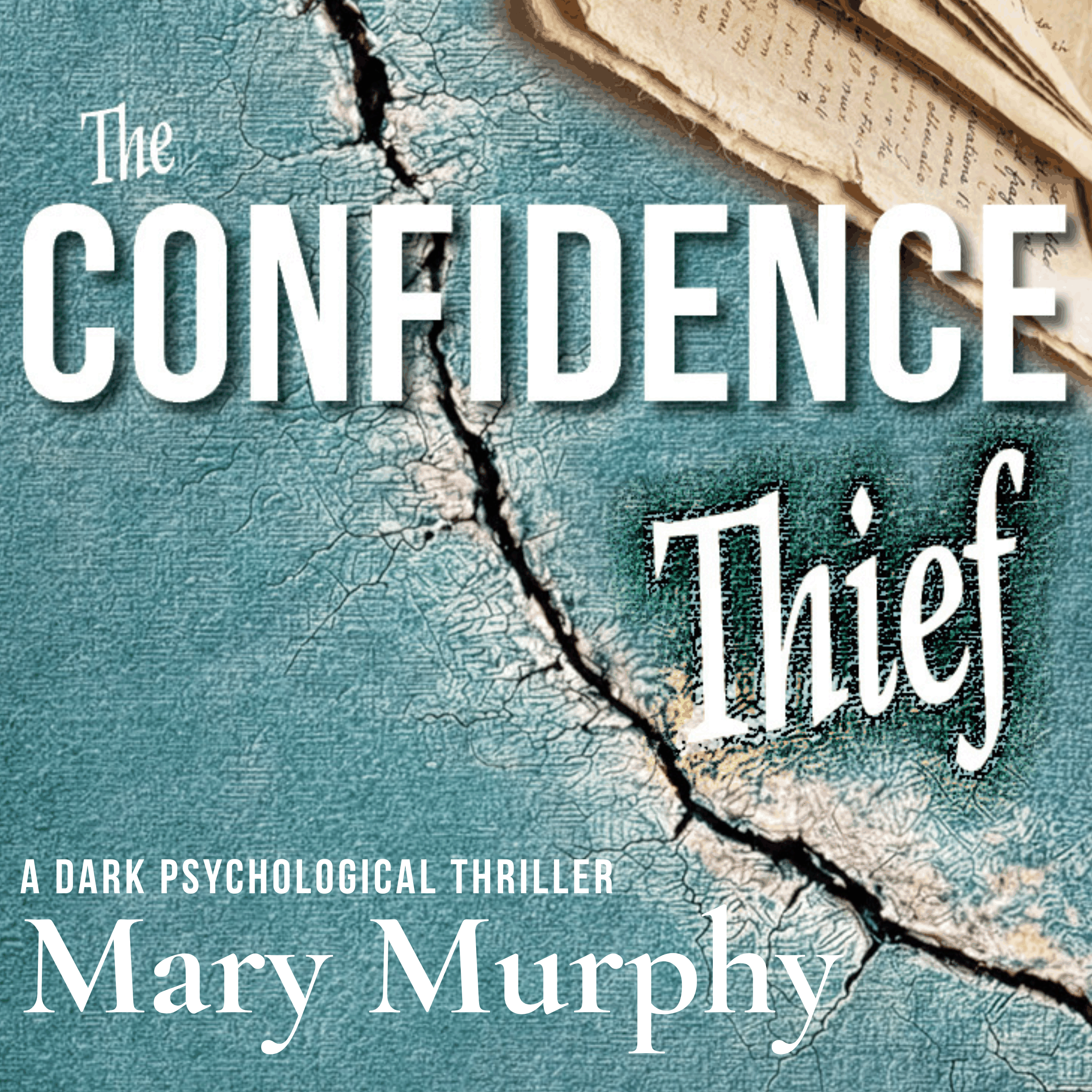 The Confidence Thief