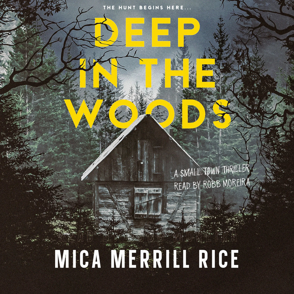 Deep in the Woods