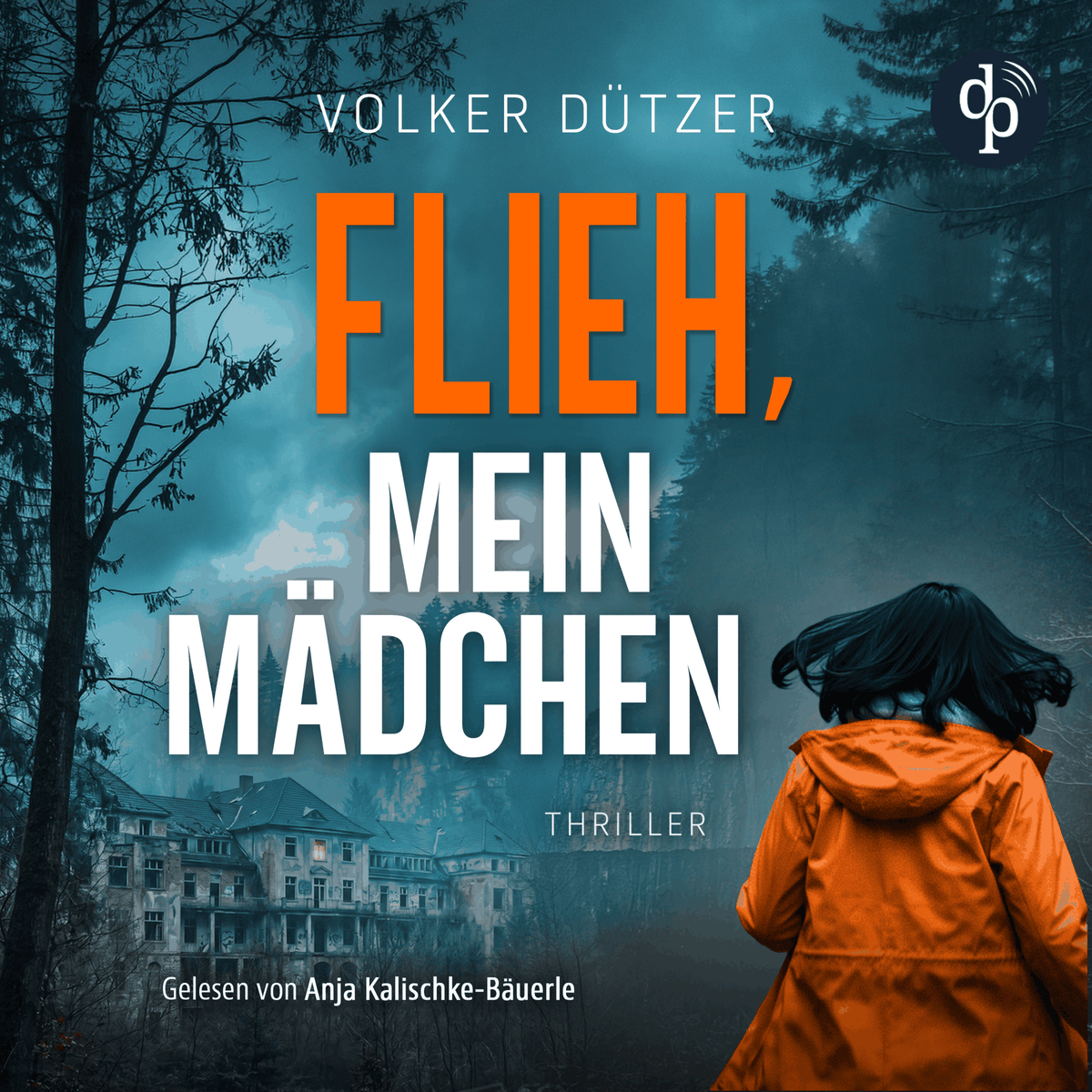 Flieh, mein Mädchen - Funke & Stein ermitteln - Ein fesselndes Thriller Hörbuch, das dich nicht mehr loslässt, Band 3 (Ungekürzt)