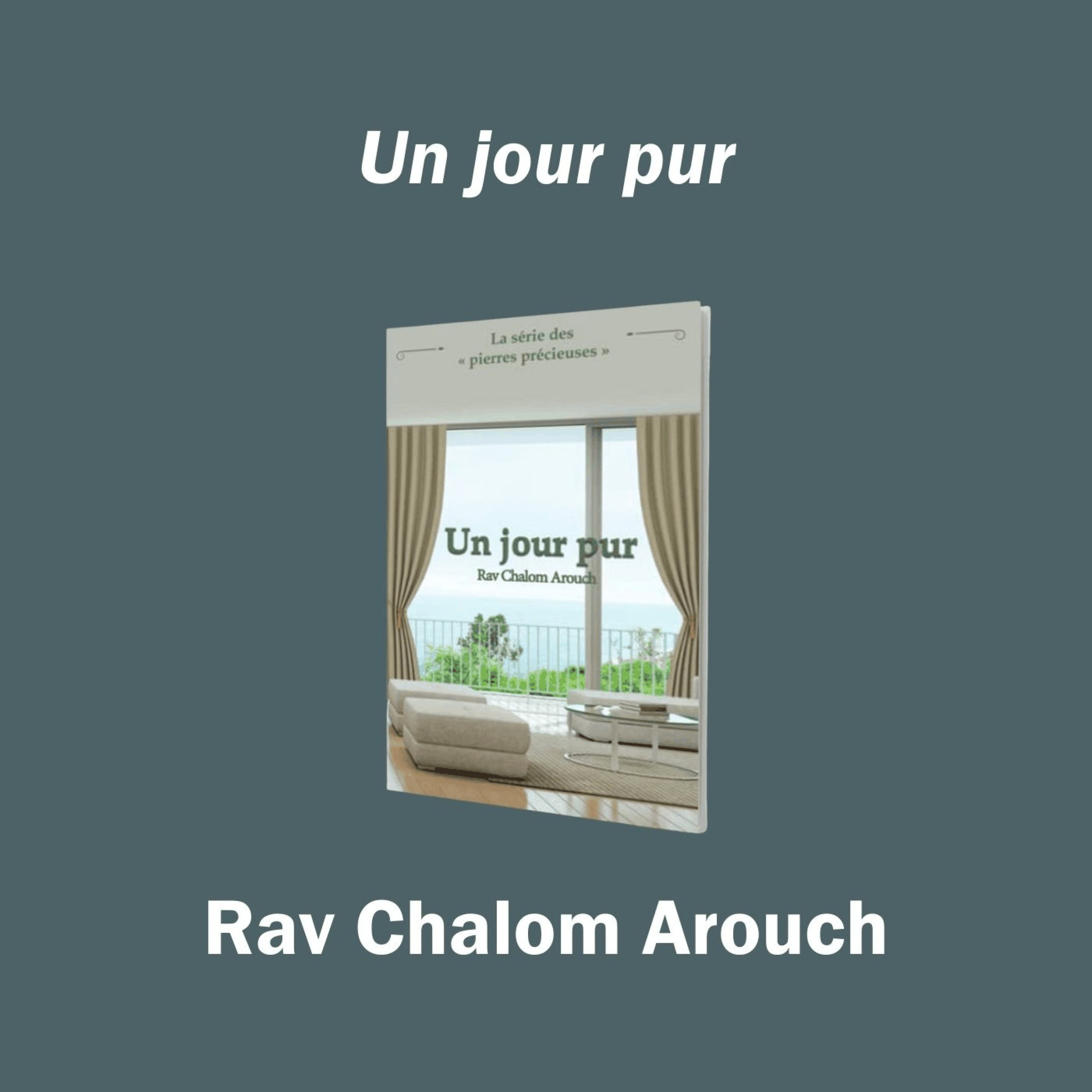 Un jour pur