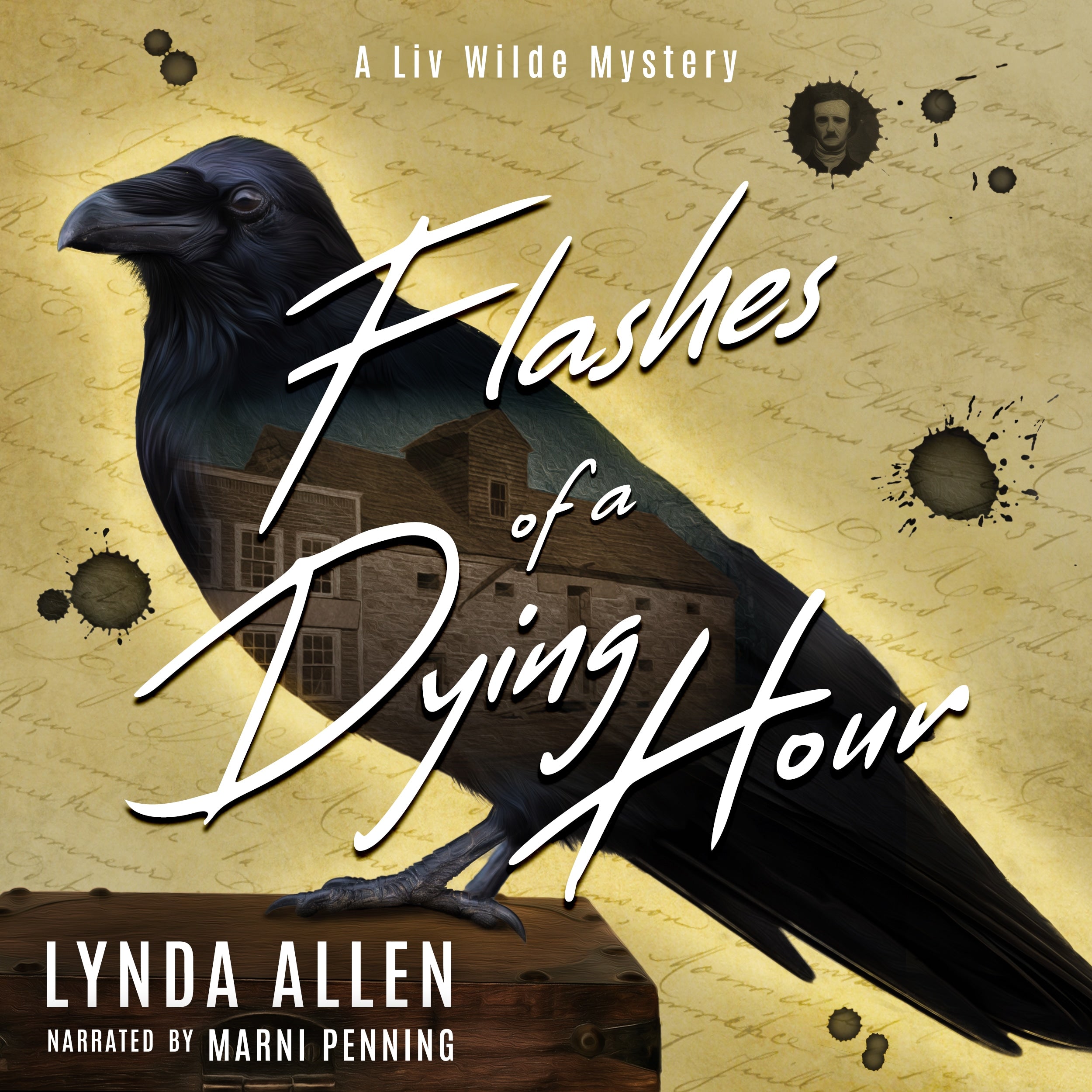 Flashes of a Dying Hour
