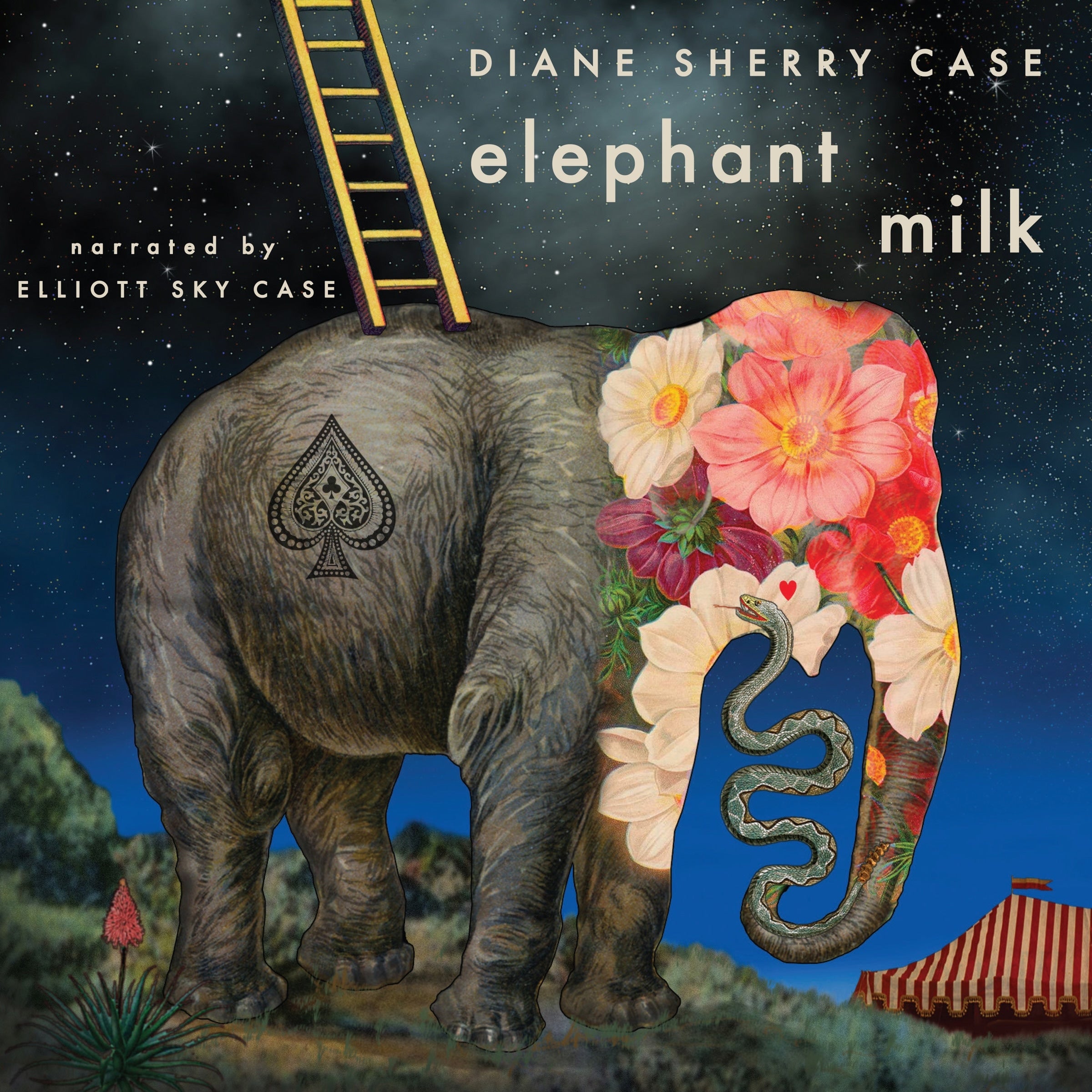Elephant Milk