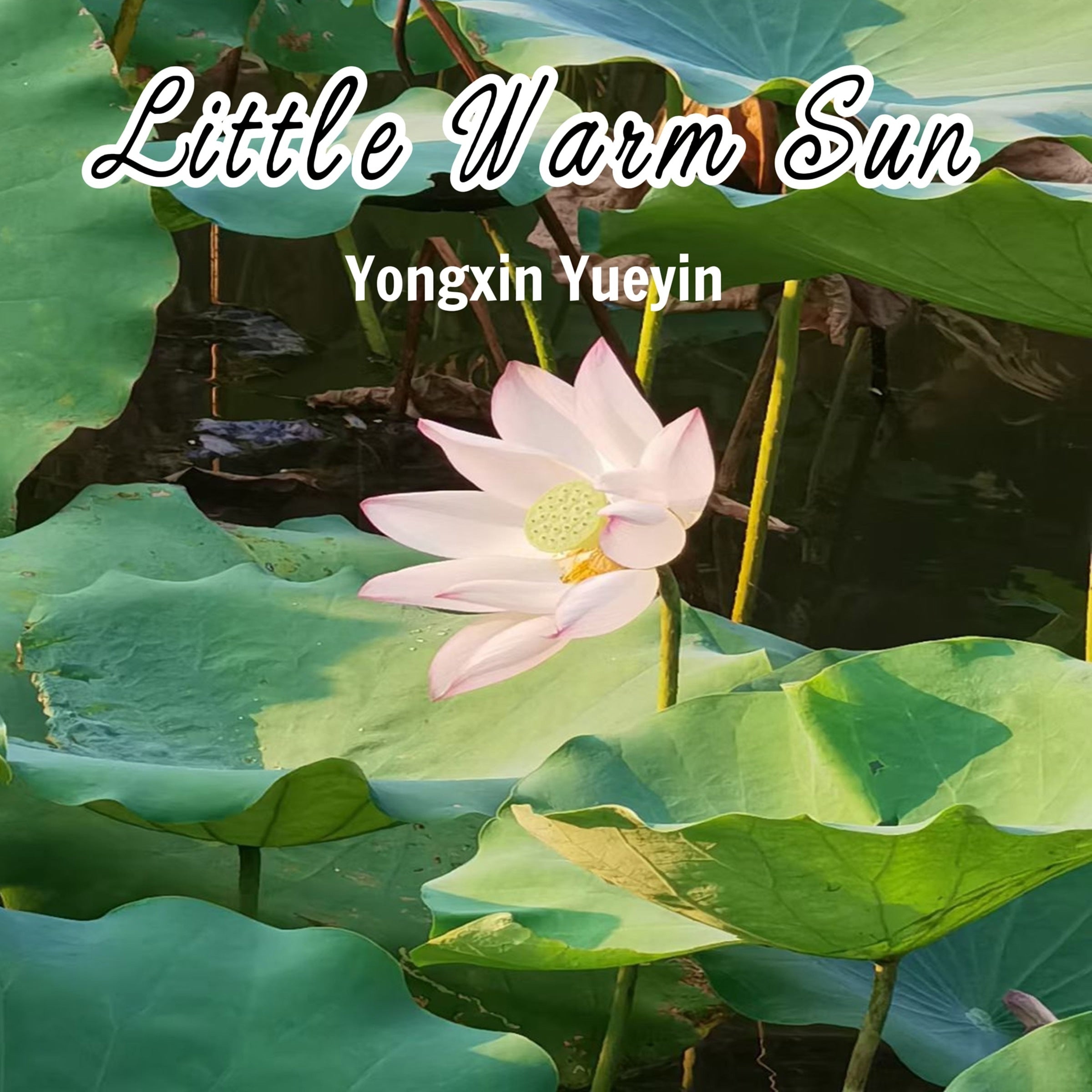 Little Warm Sun Vol.4