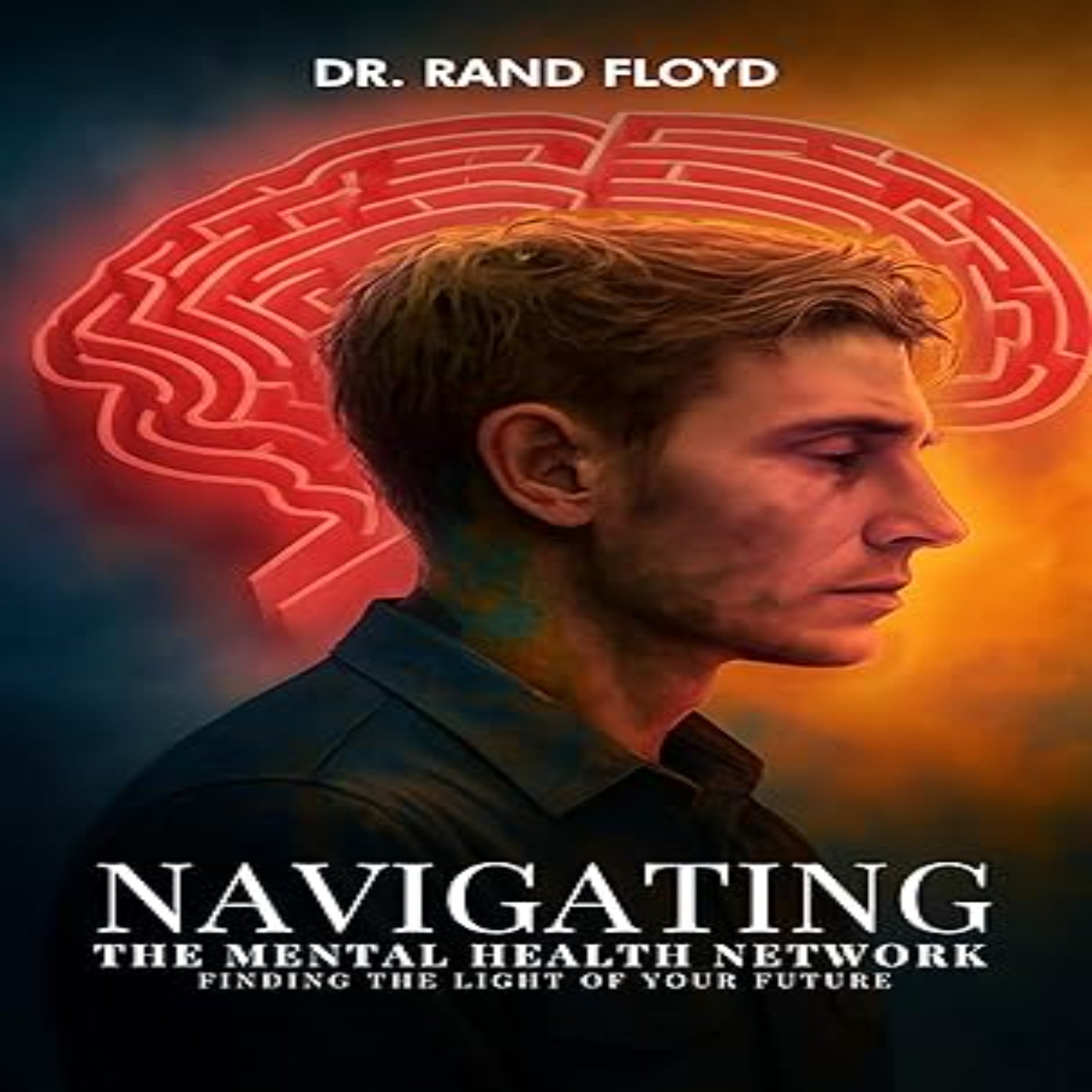 Navigating The Mental Health Network