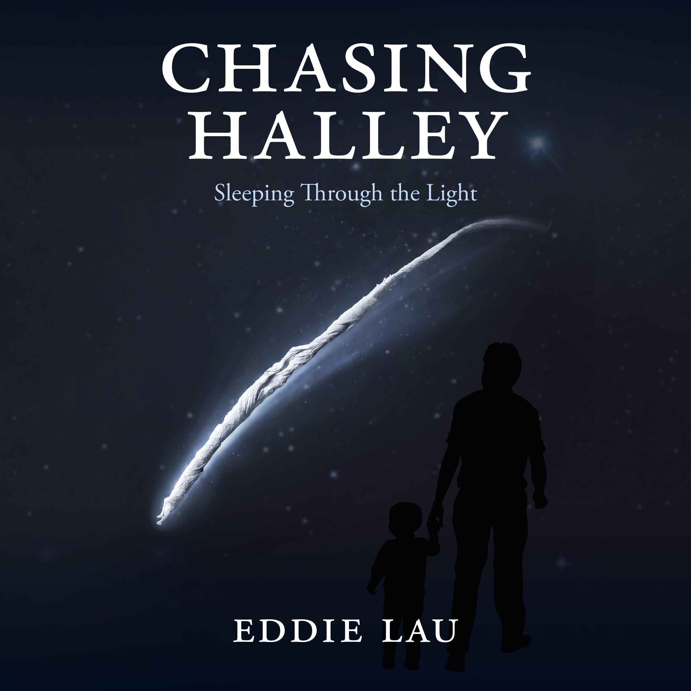 Chasing Halley