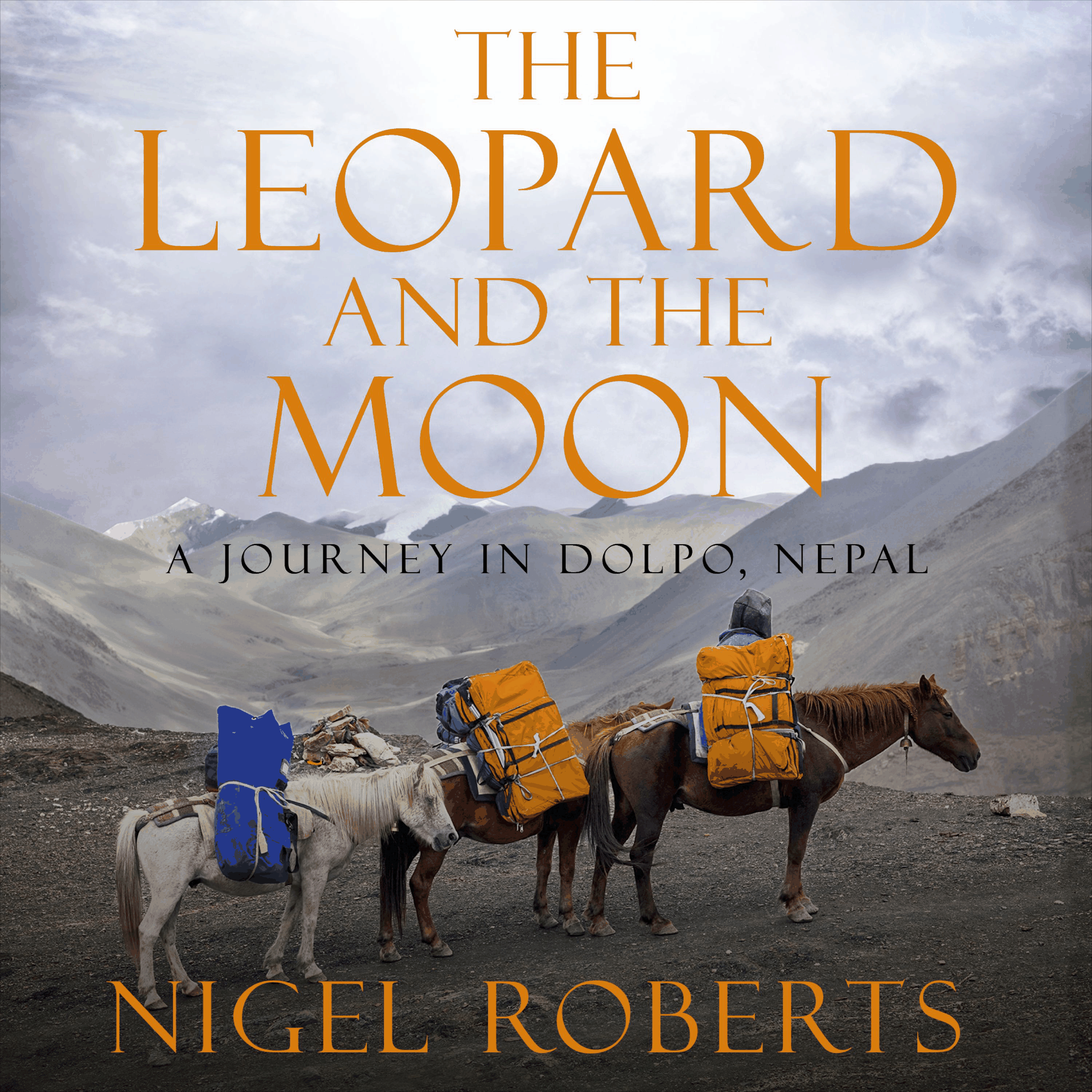 The Leopard and the Moon