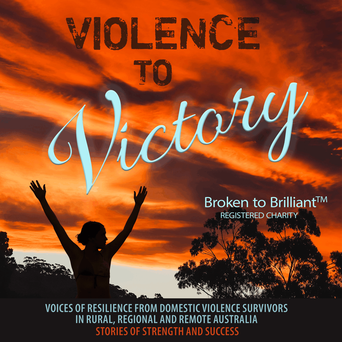 Violence to Victory