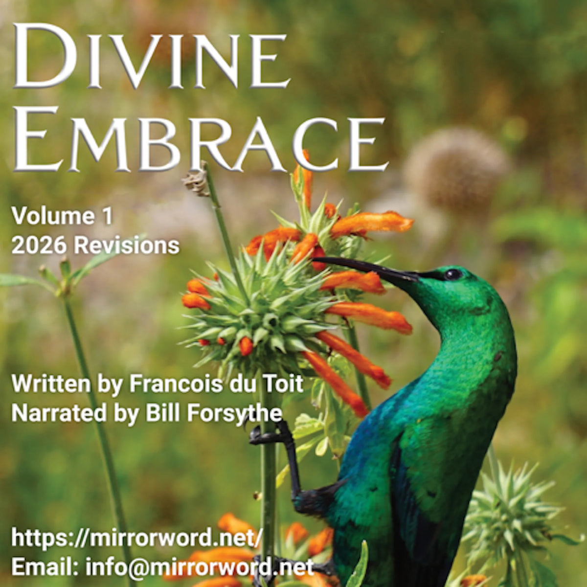 Divine Embrace - Volume 1