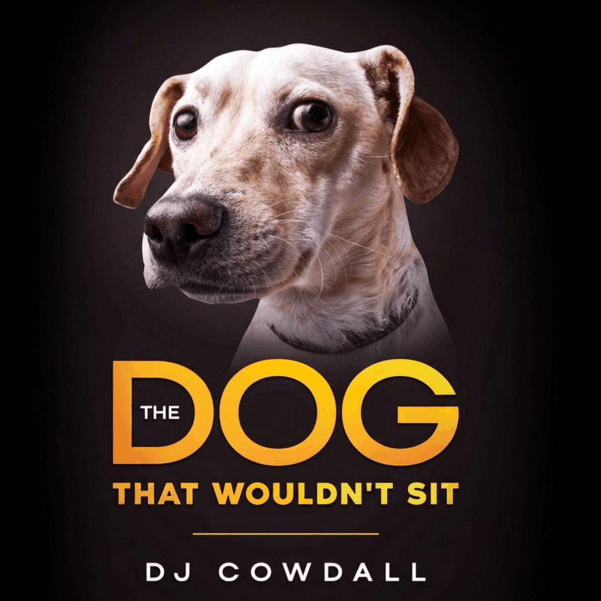 The Dog That Wouldn't Sit