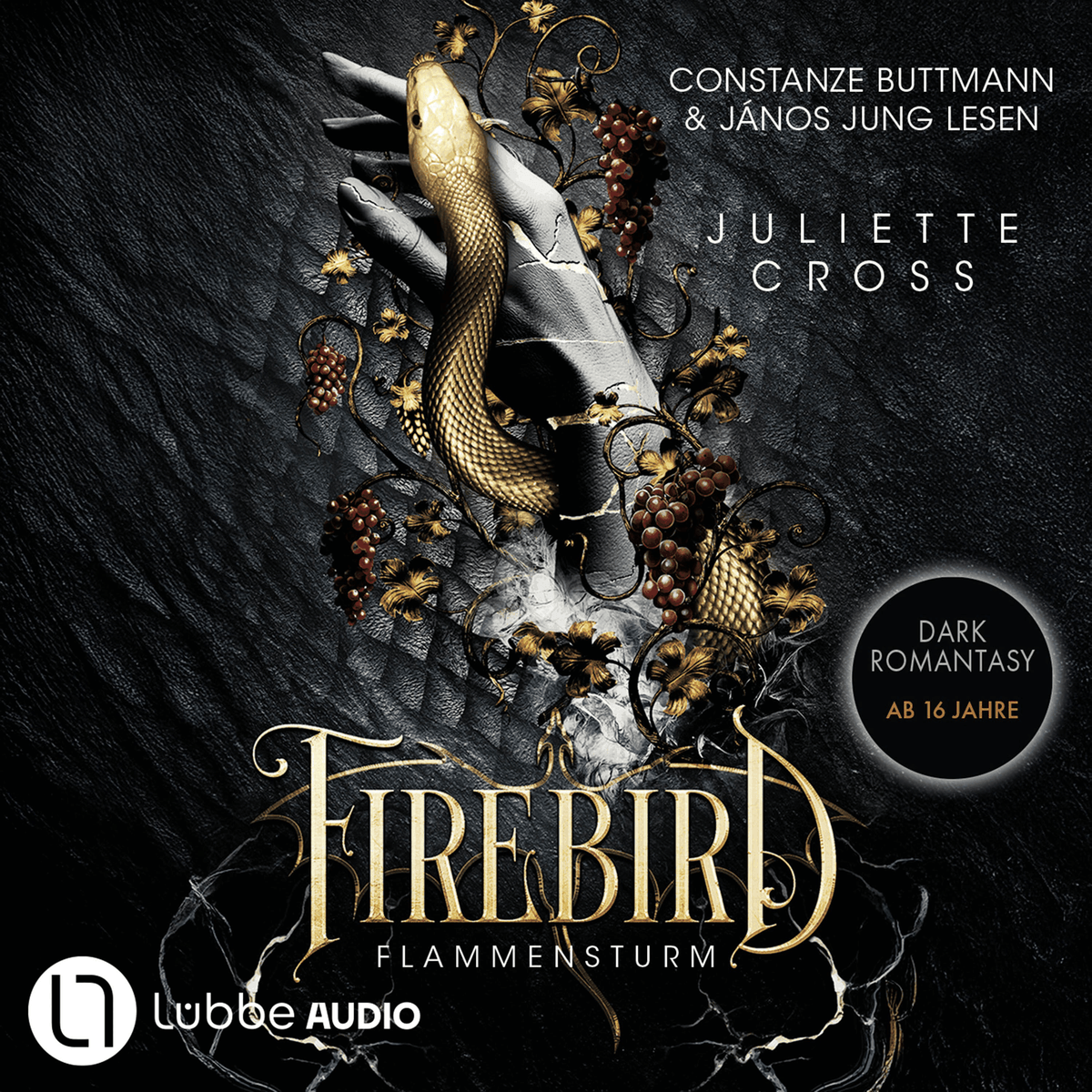 Firebird - Flammensturm, Teil 1