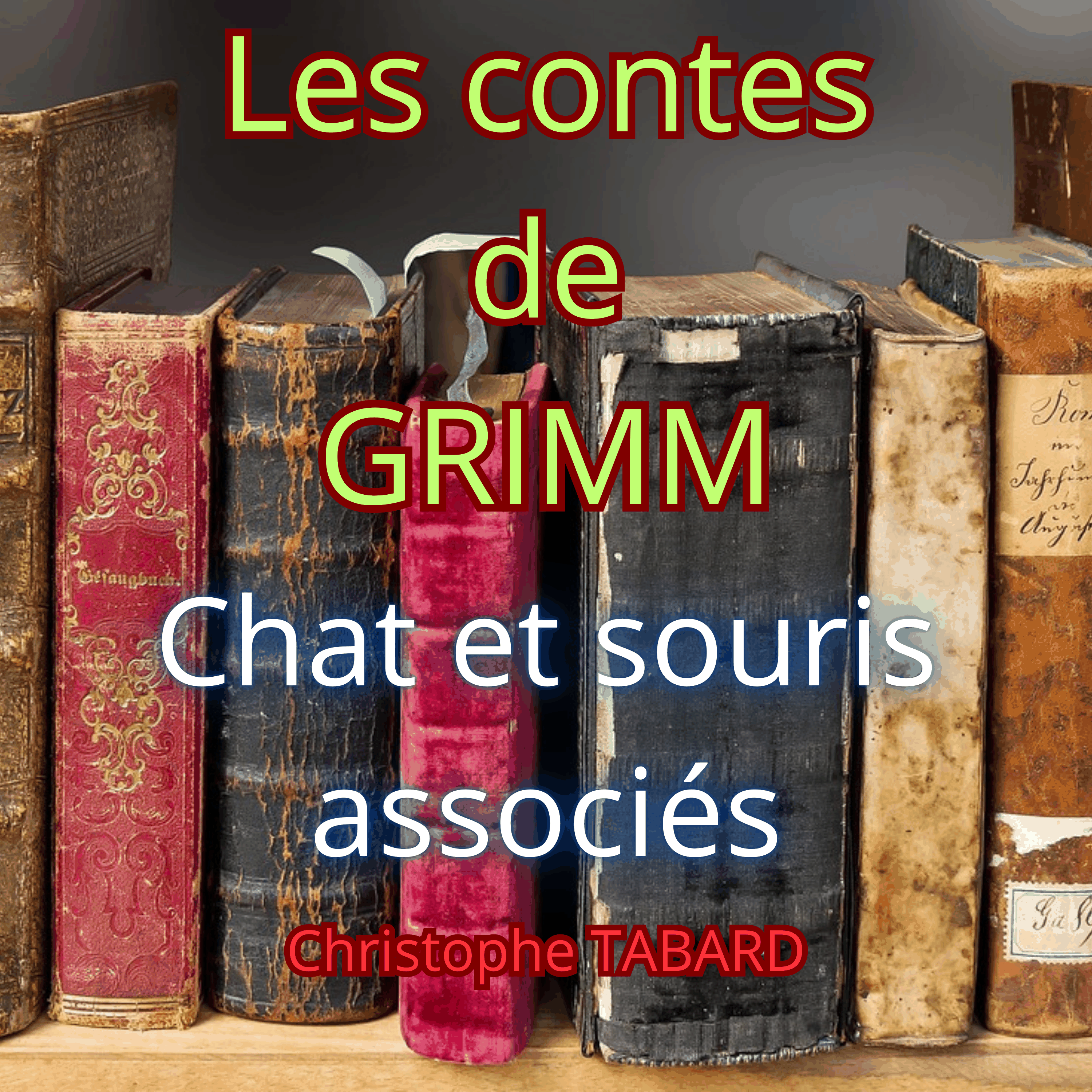 Chat et souris associés